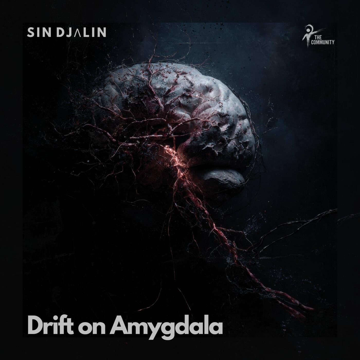 Cover - Sin Djalin - Drift on Amygdala (Original Mix)
