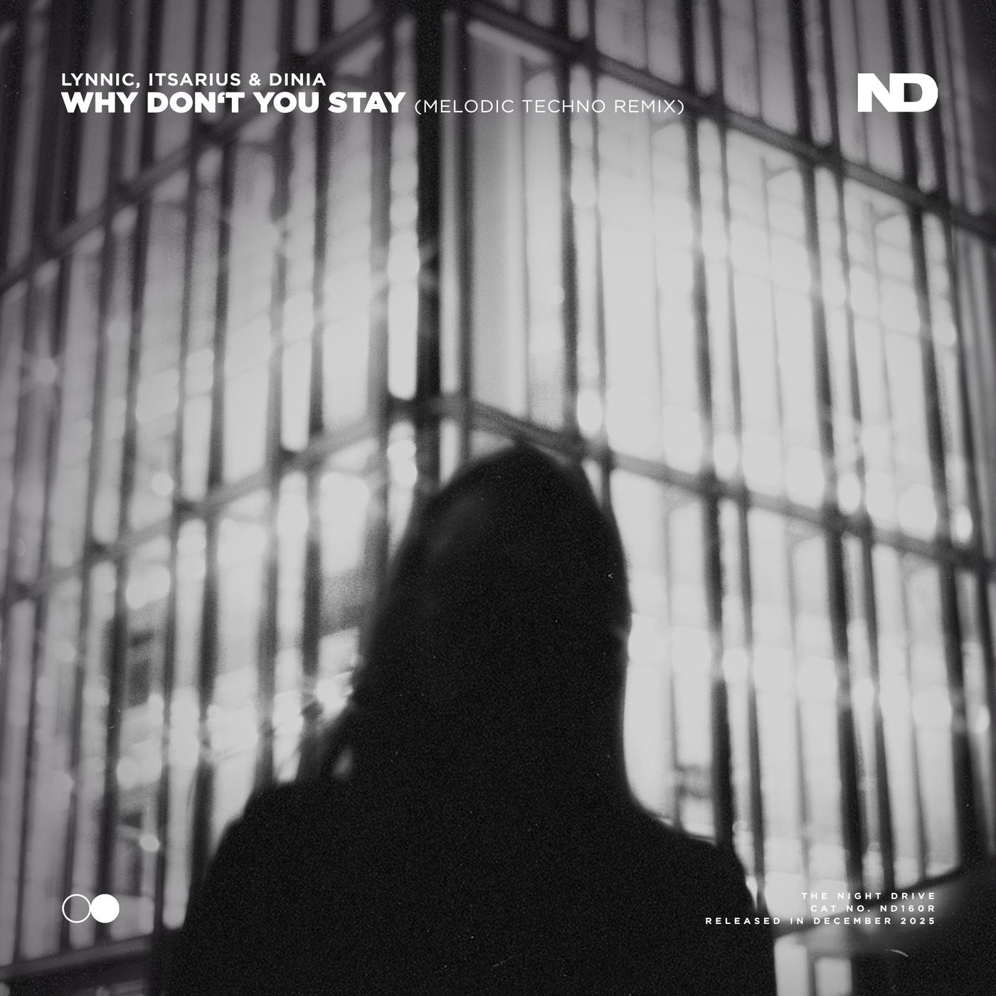 Cover - Dinia, Lynnic, ItsArius - Why Don't You Stay (Melodic Techno Extended Remix)