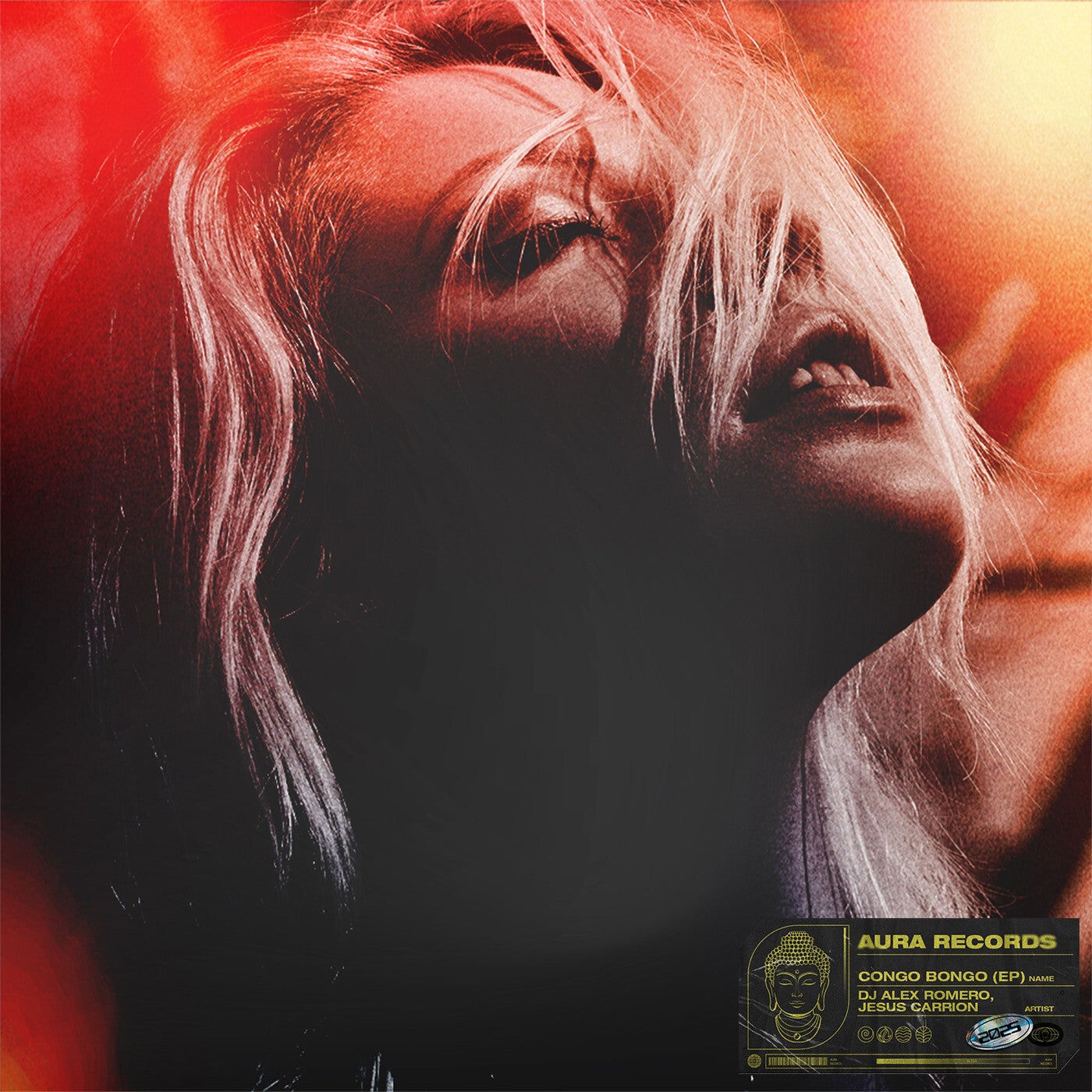 Cover - Dj Alex Romero - Latinos Presentes (Extended Mix)