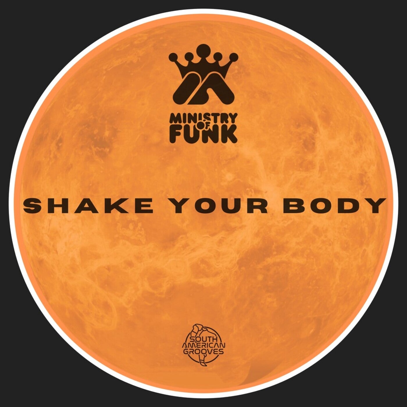 Cover - Ministry Of Funk - Shake Your Body (Original Mix)