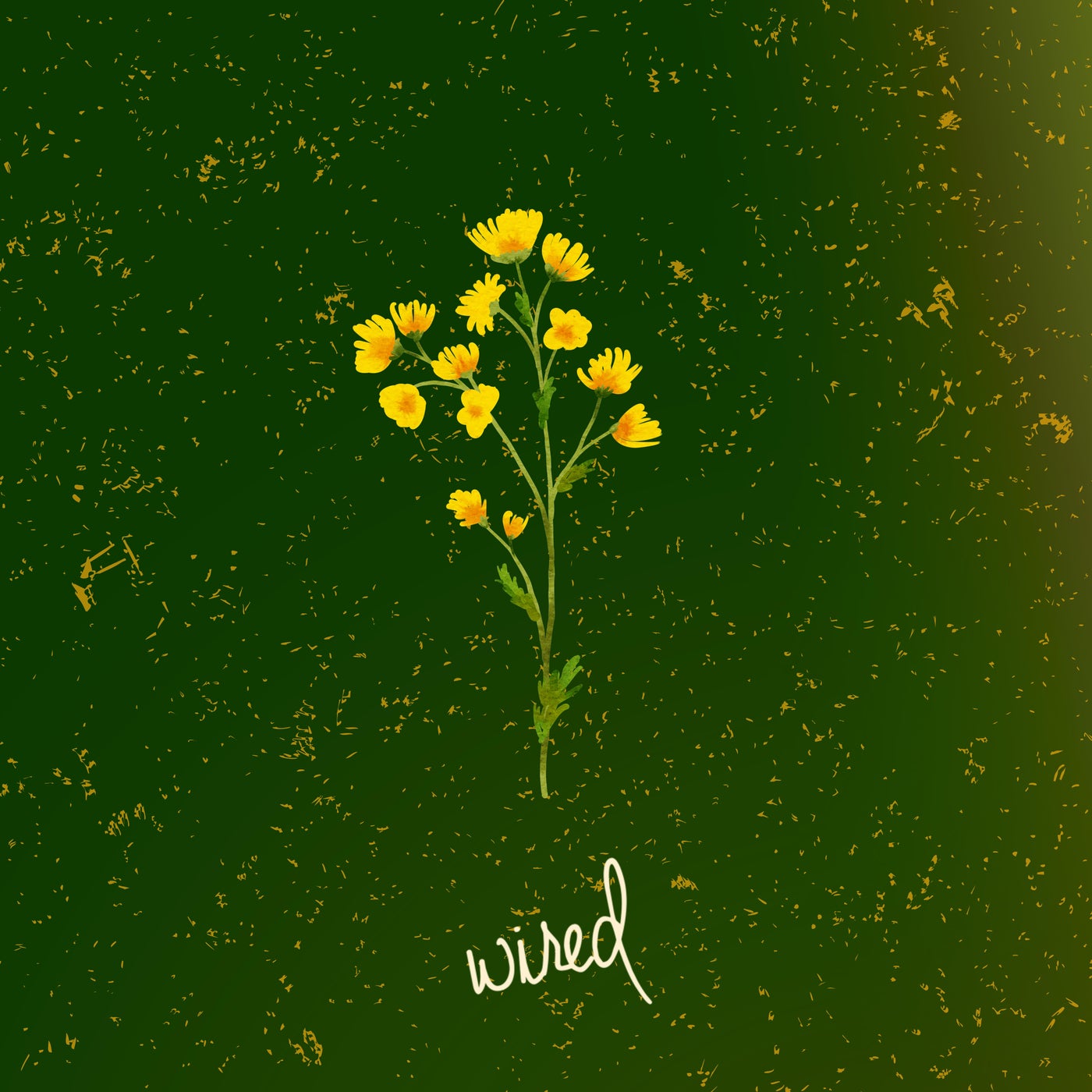 Cover - Smao - Dolar (Original Mix)