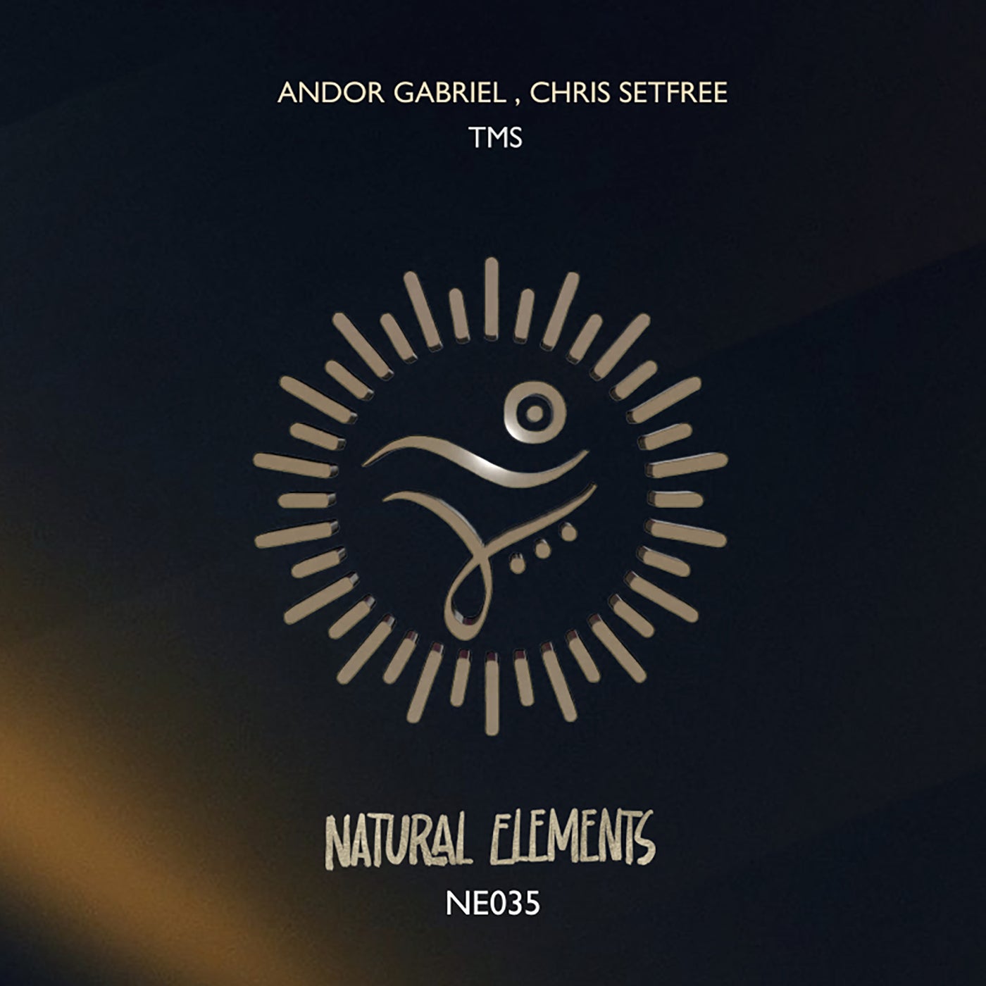 Cover - Andor Gabriel, Chris Setfree - TMS (Extended Mix)