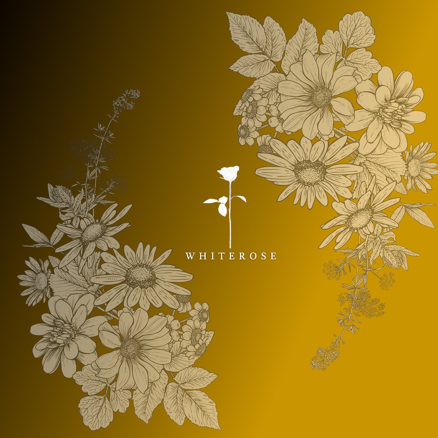 Cover - Talal - Thrilla (Original Mix)