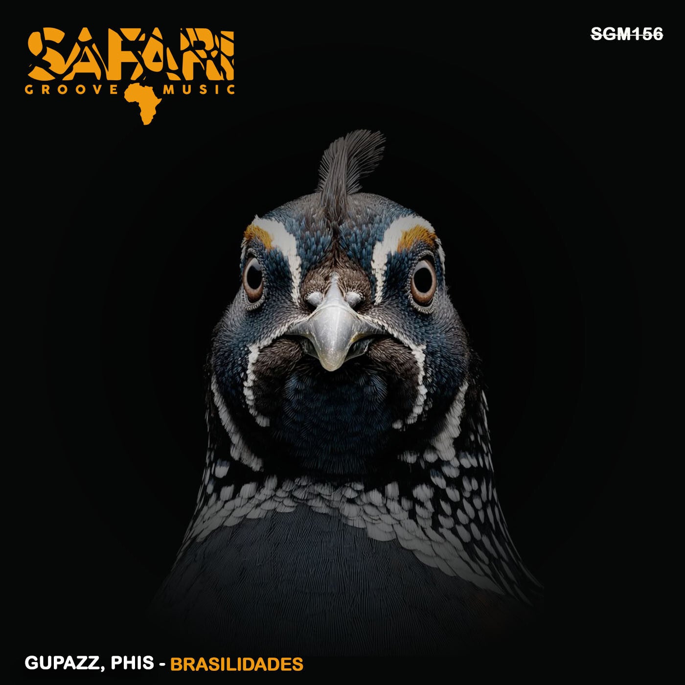Cover - Gupazz, Phis - Tremor (Original Mix)