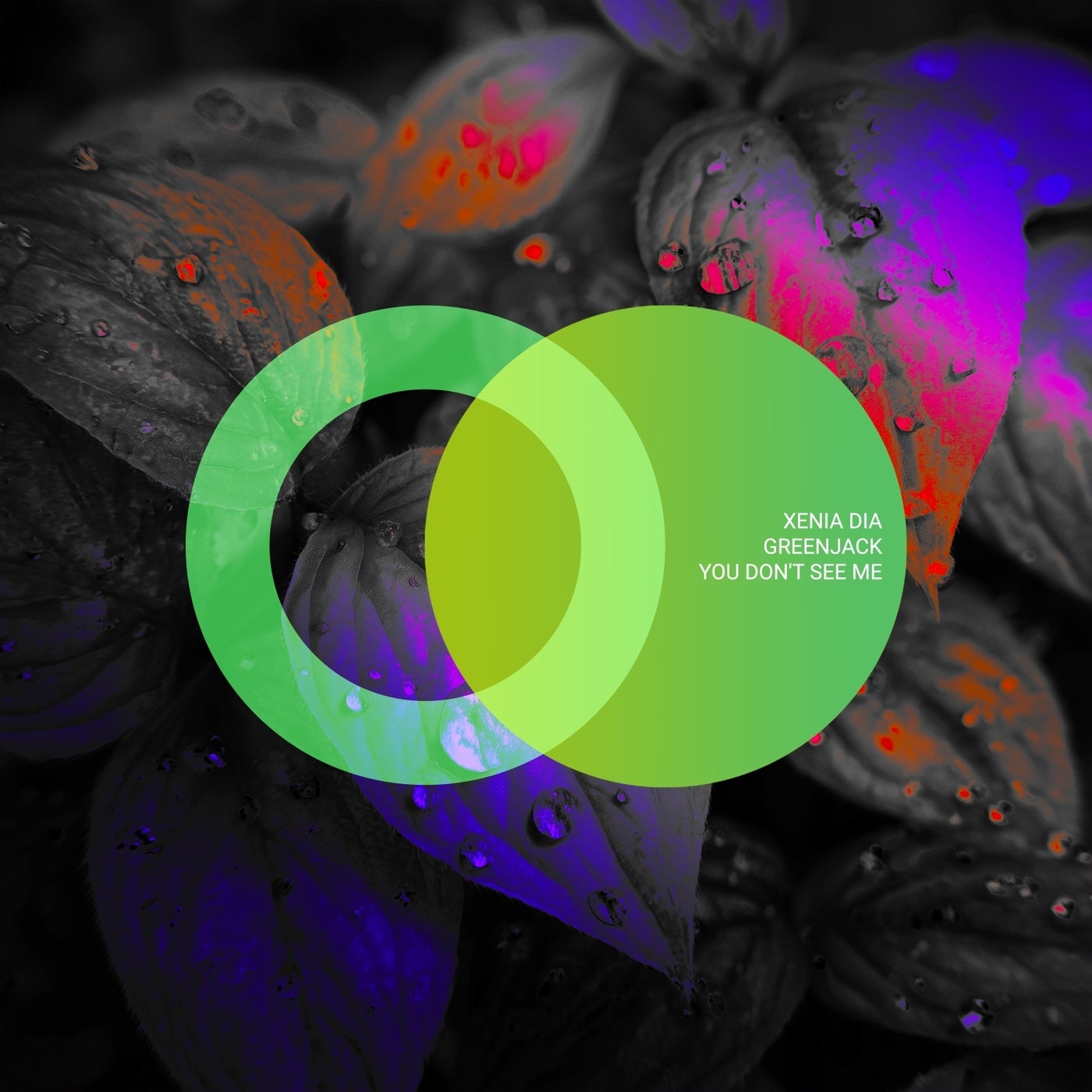 Cover - Greenjack, Xenia Dia - You Don't See Me (Original Mix)