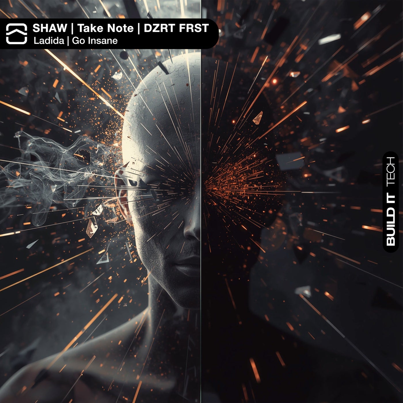 Cover - Shaw, DZRT FRST, Take Note - Go Insane (Extended Mix)