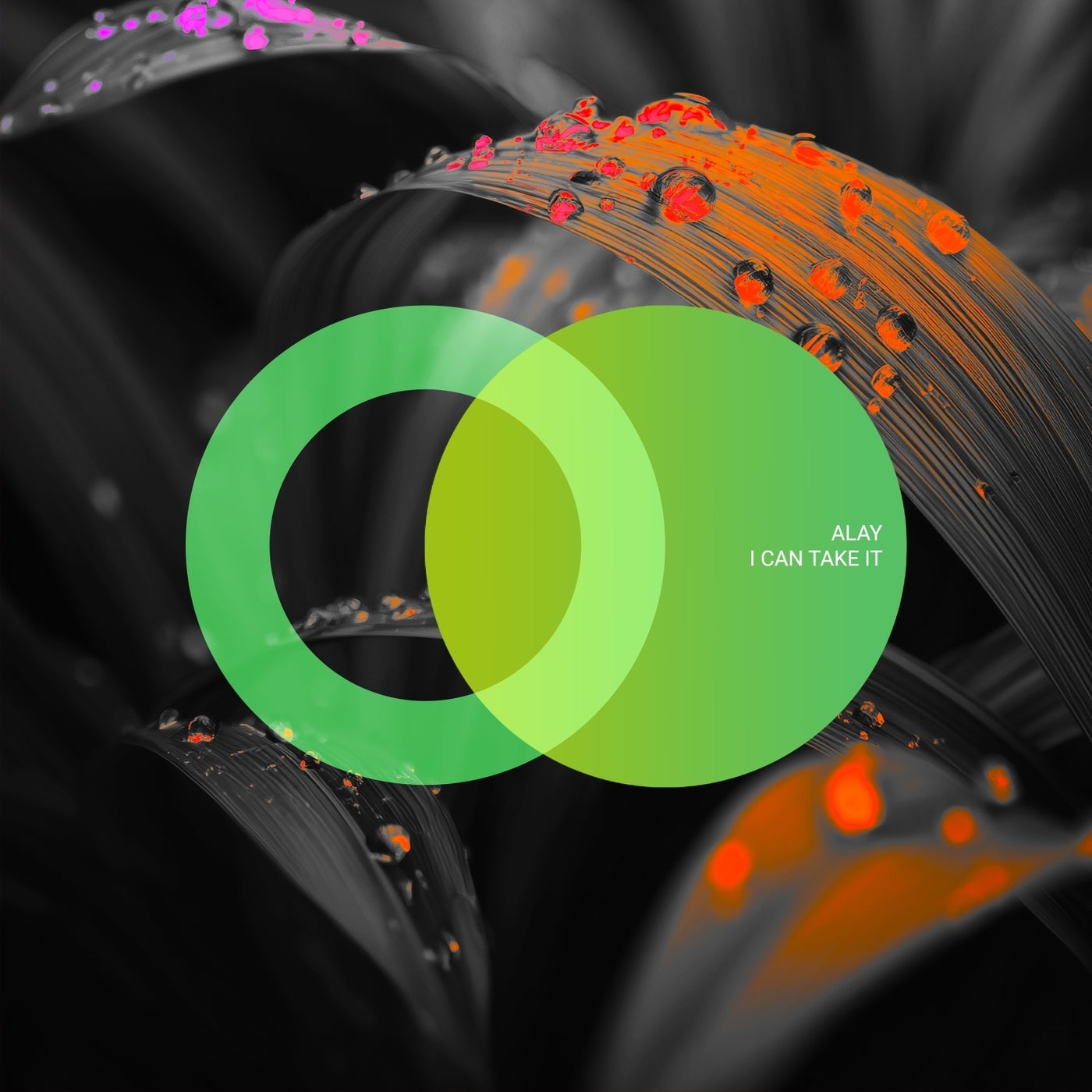 Cover - Alay - Vertigo (Original Mix)