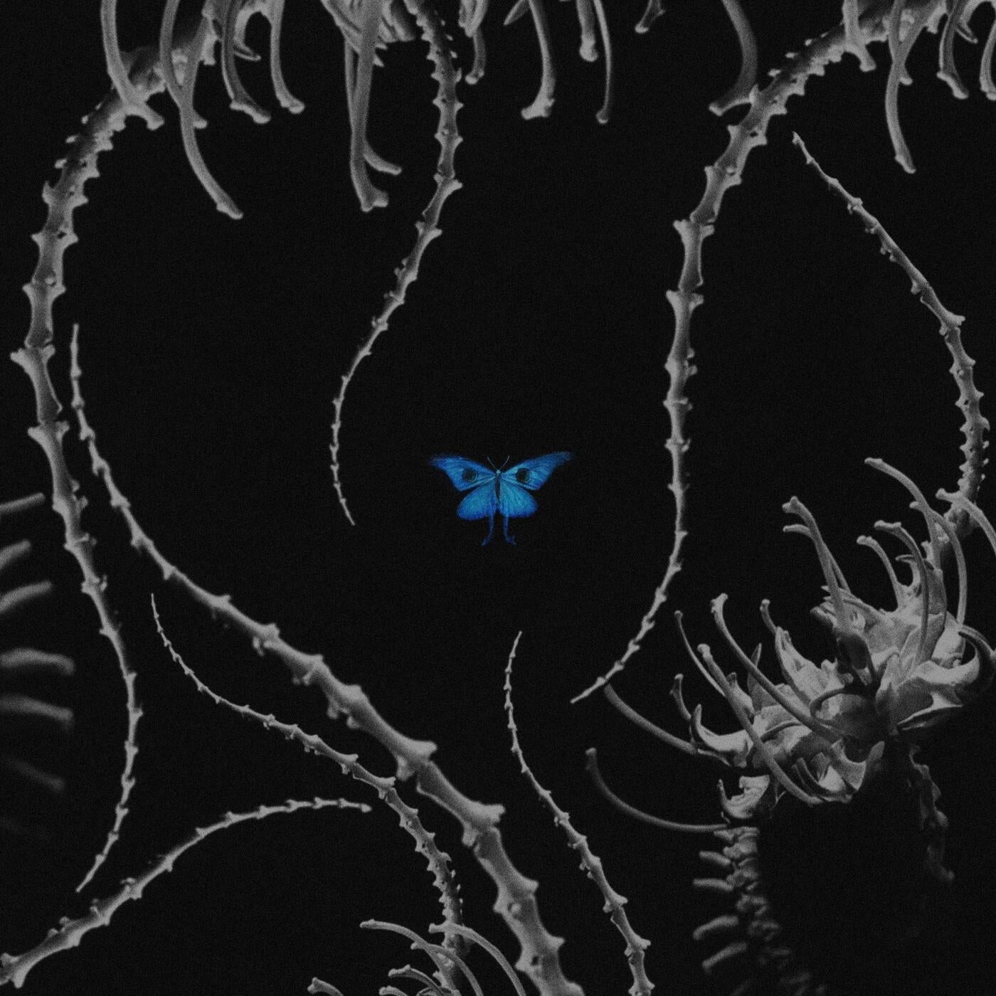 Cover - Hummus - Existence (Original Mix)