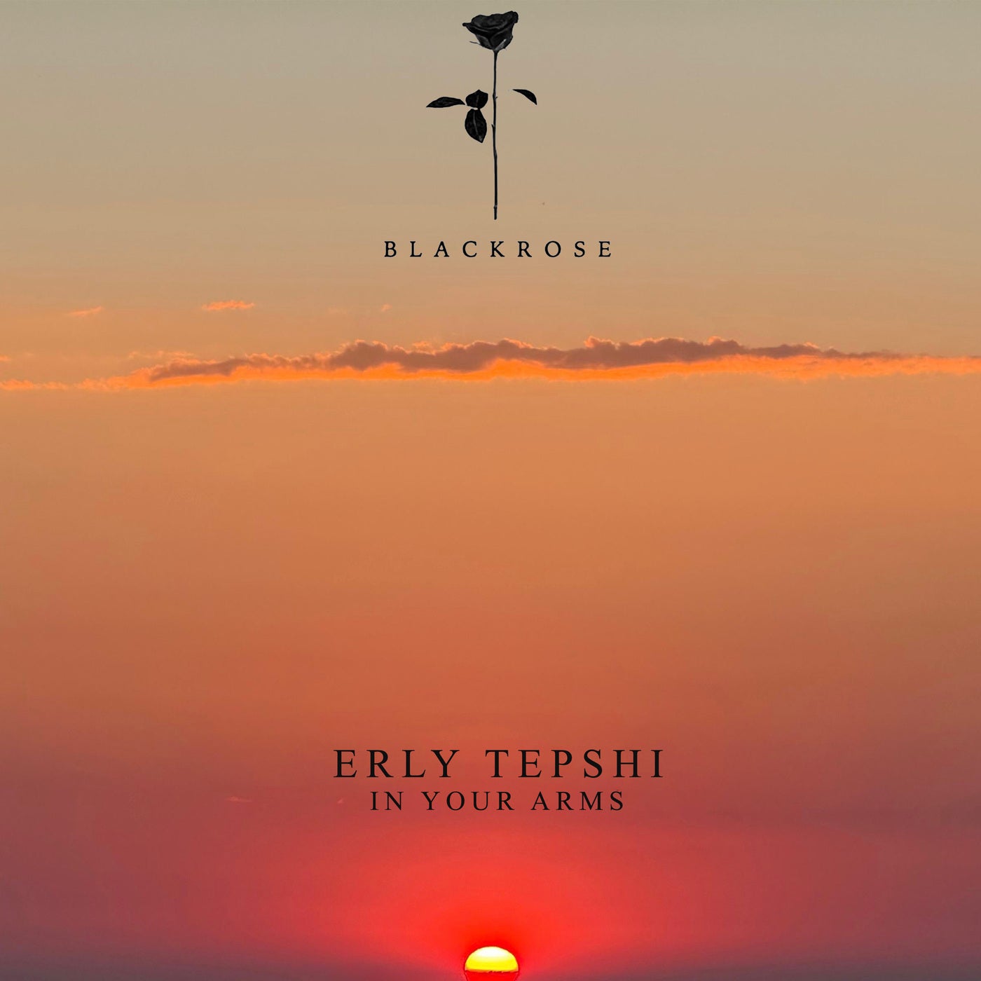 Cover - Erly Tepshi - In Your Arms (Original Mix)