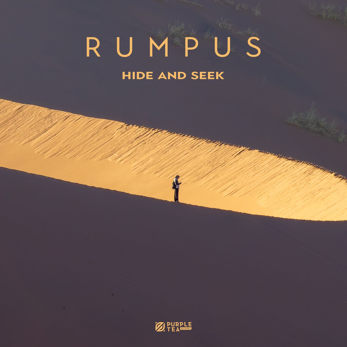 Cover - RUMPUS - Hide and Seek (Extended)