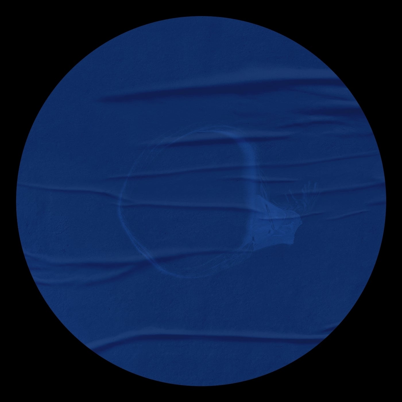 Cover - Martin Occo - Alive (Original Mix)