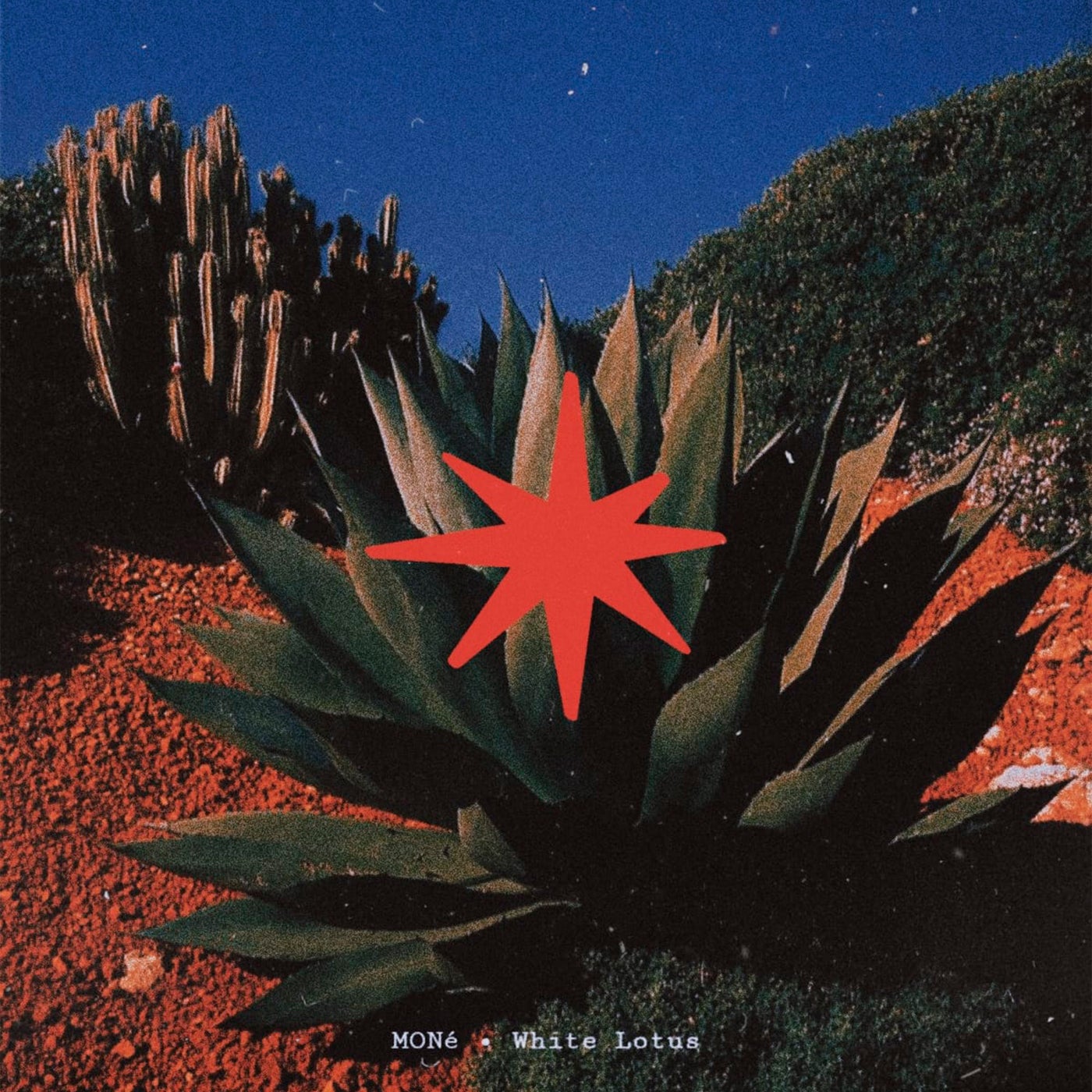 Cover - MONé (IN) - White Lotus (Original Mix)