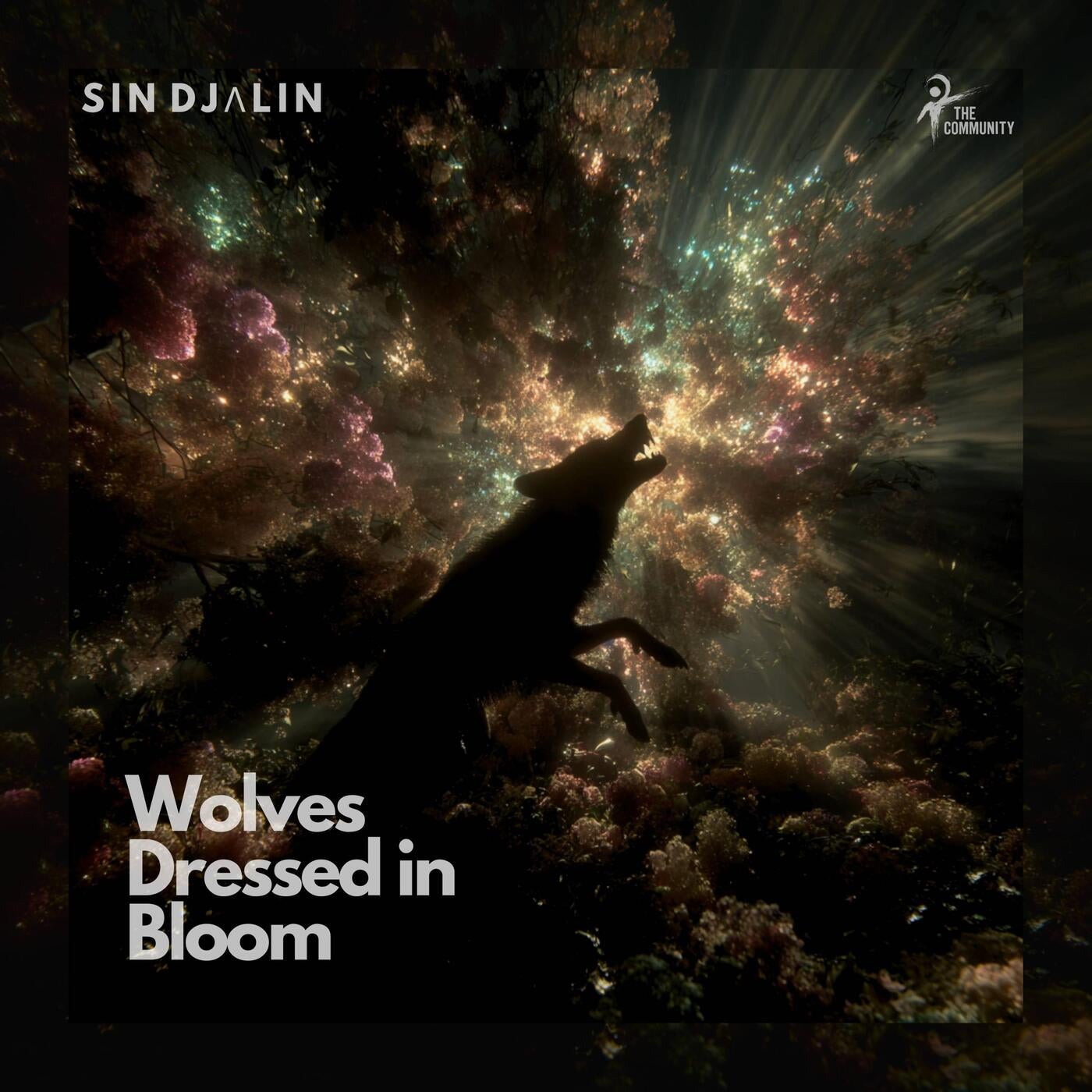 Cover - Sin Djalin - Wolves Dressed in Bloom (Original Mix)