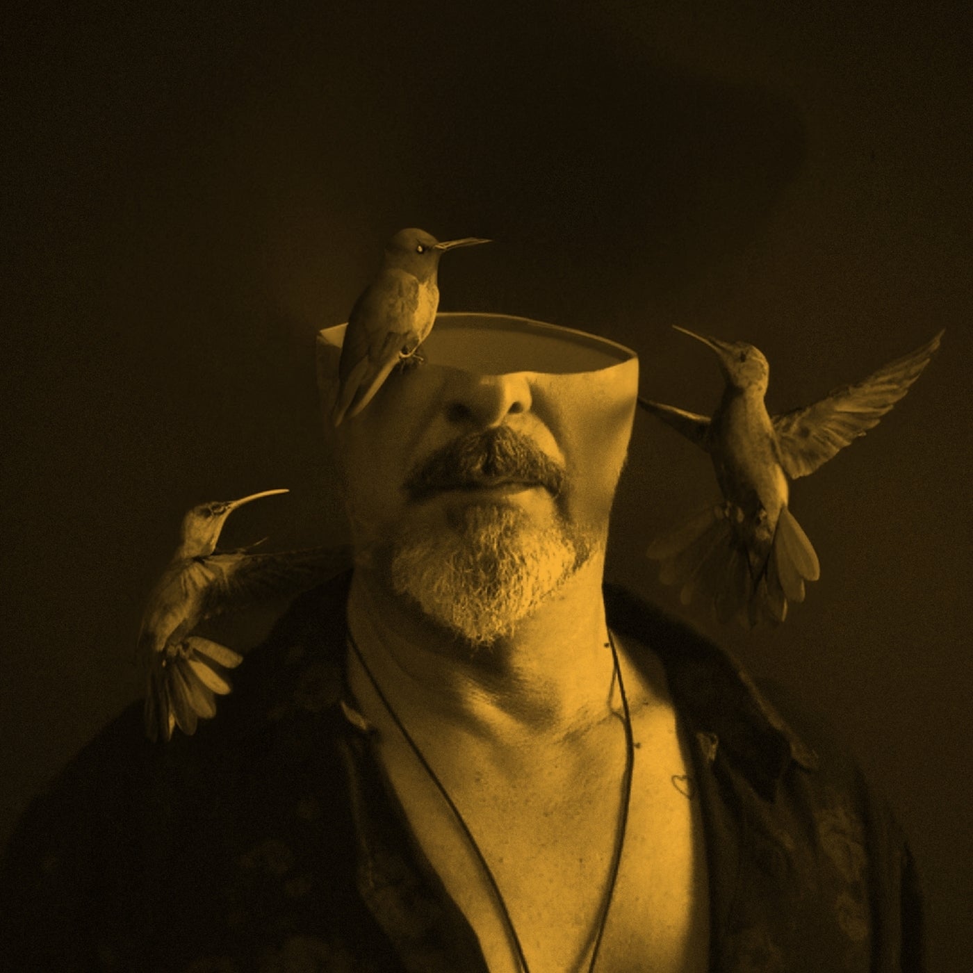 Cover - DJ Ino, DTEE, Liyah Katana - MUSE (feat. Liyah Katana & Dtee) (Original Mix)