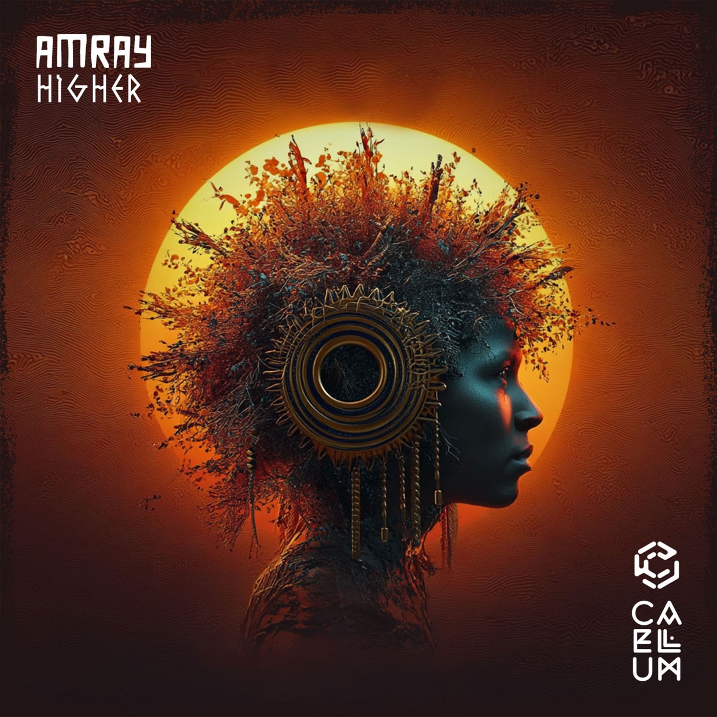 Cover - Amray - Higher (Original Mix)