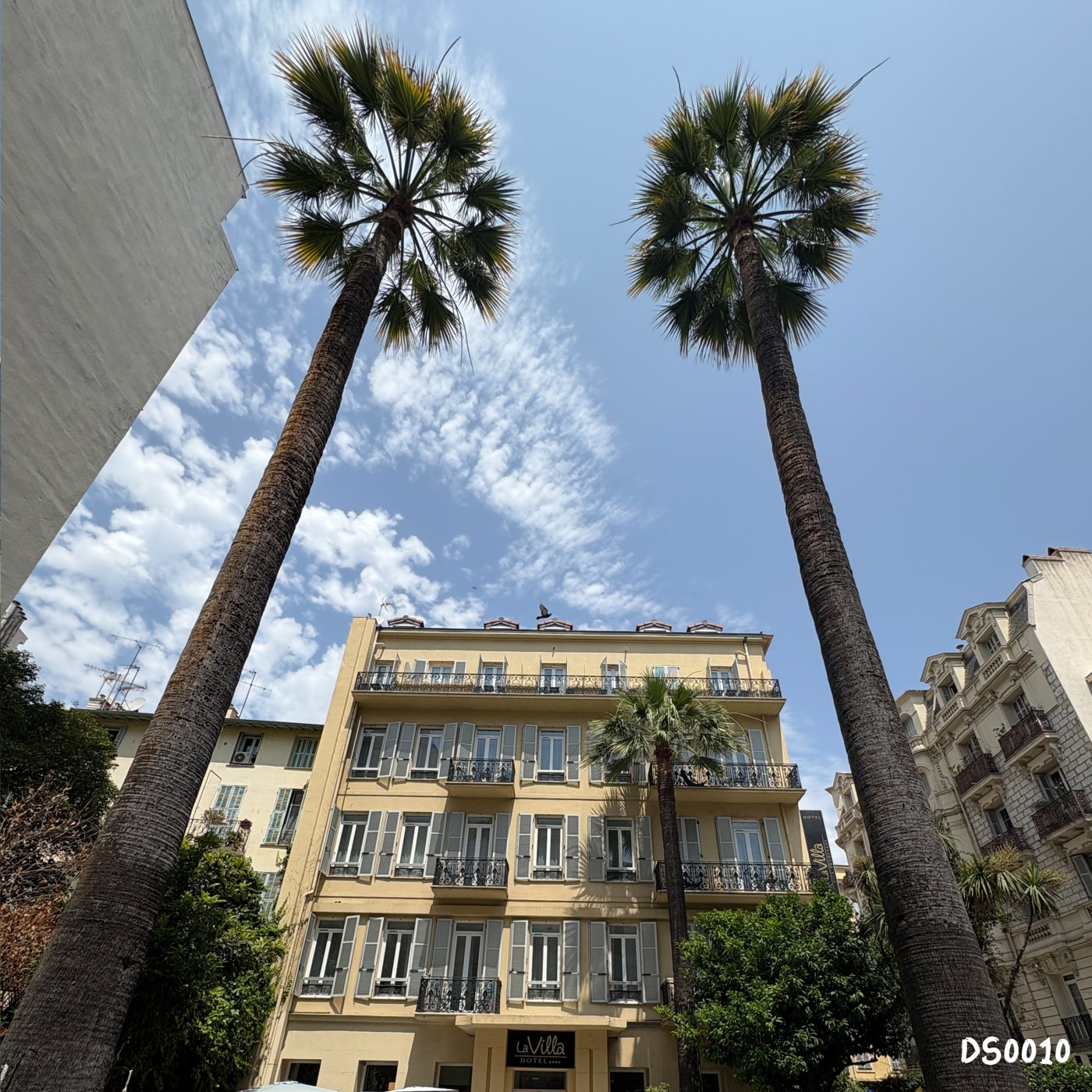 Cover - Questionmark2, NOØISE - Ya Ya (Extended Mix)