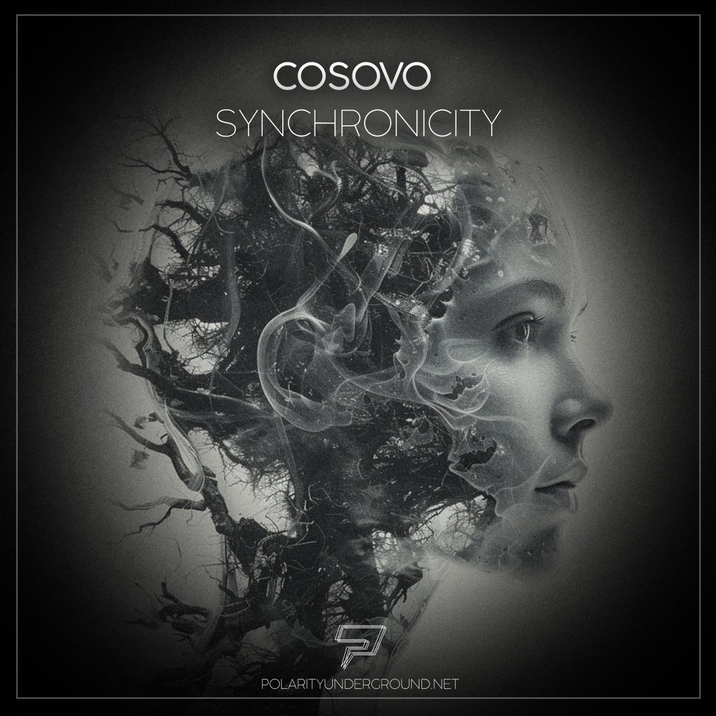 Cover - Cosovo - Project Hollowmind (Original Mix)