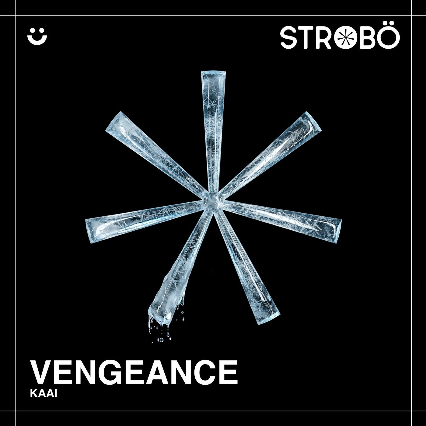 Cover - KAAI - Vengeance (Original Mix)