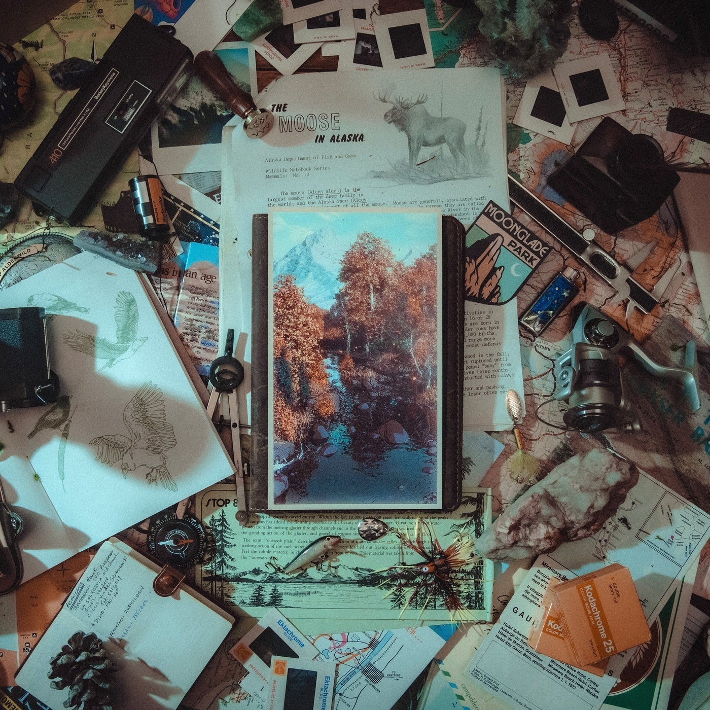 Cover - Of The Trees - Dolori (Original Mix)