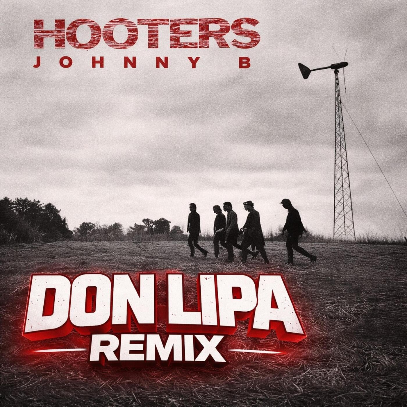Cover - Don Lipa - Johny B (Hooters)