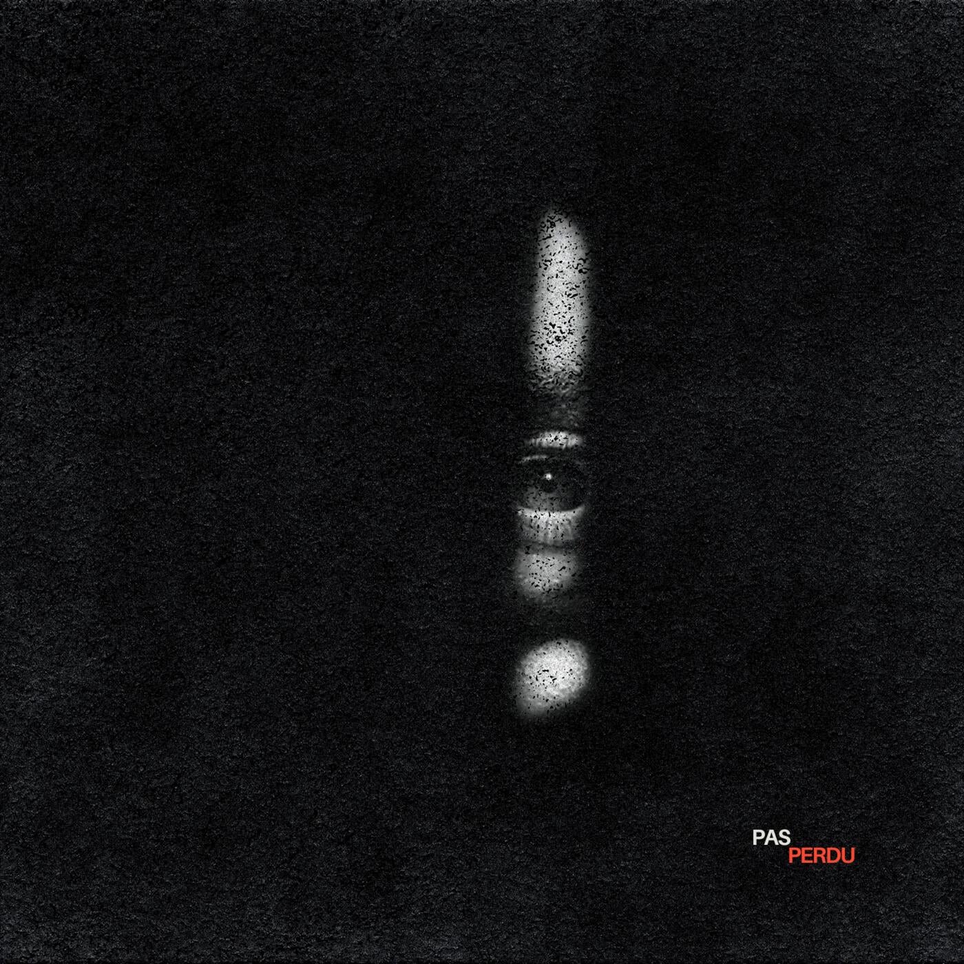 Cover - Sal Silva - Don't Look Back (Original Mix)