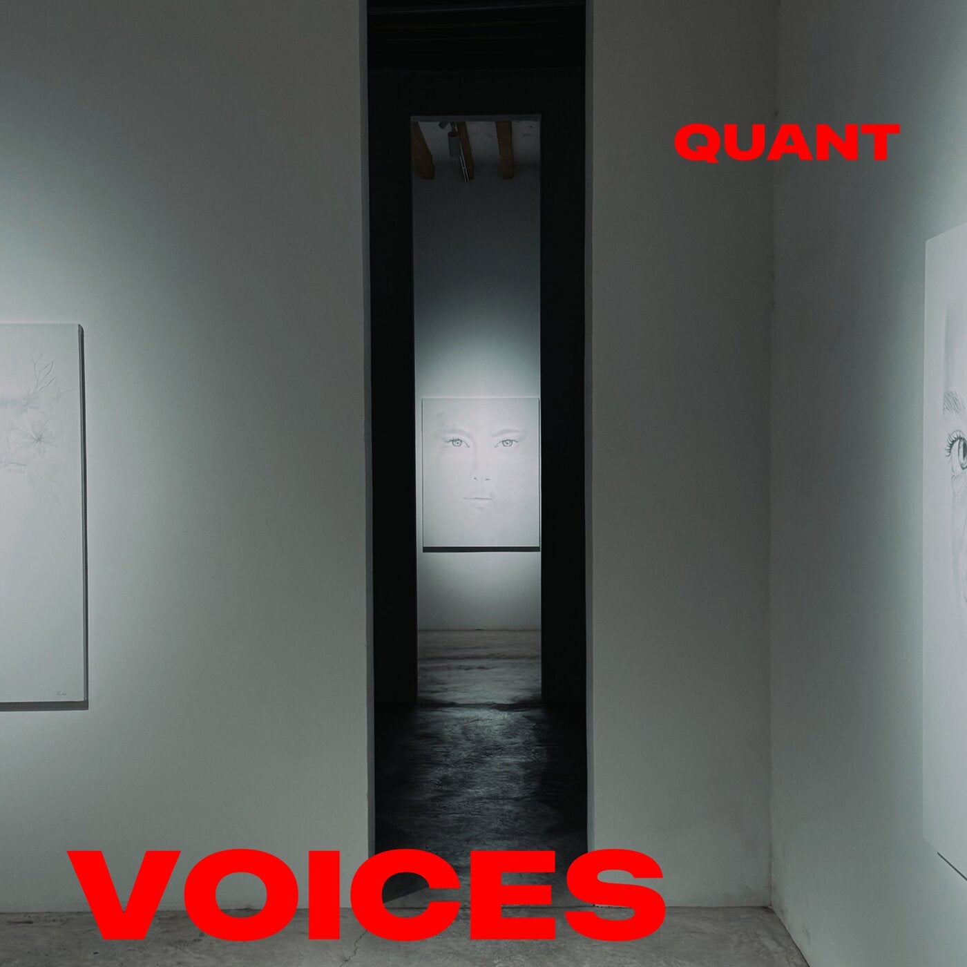 Cover - Quant - Voices (Main Mix)
