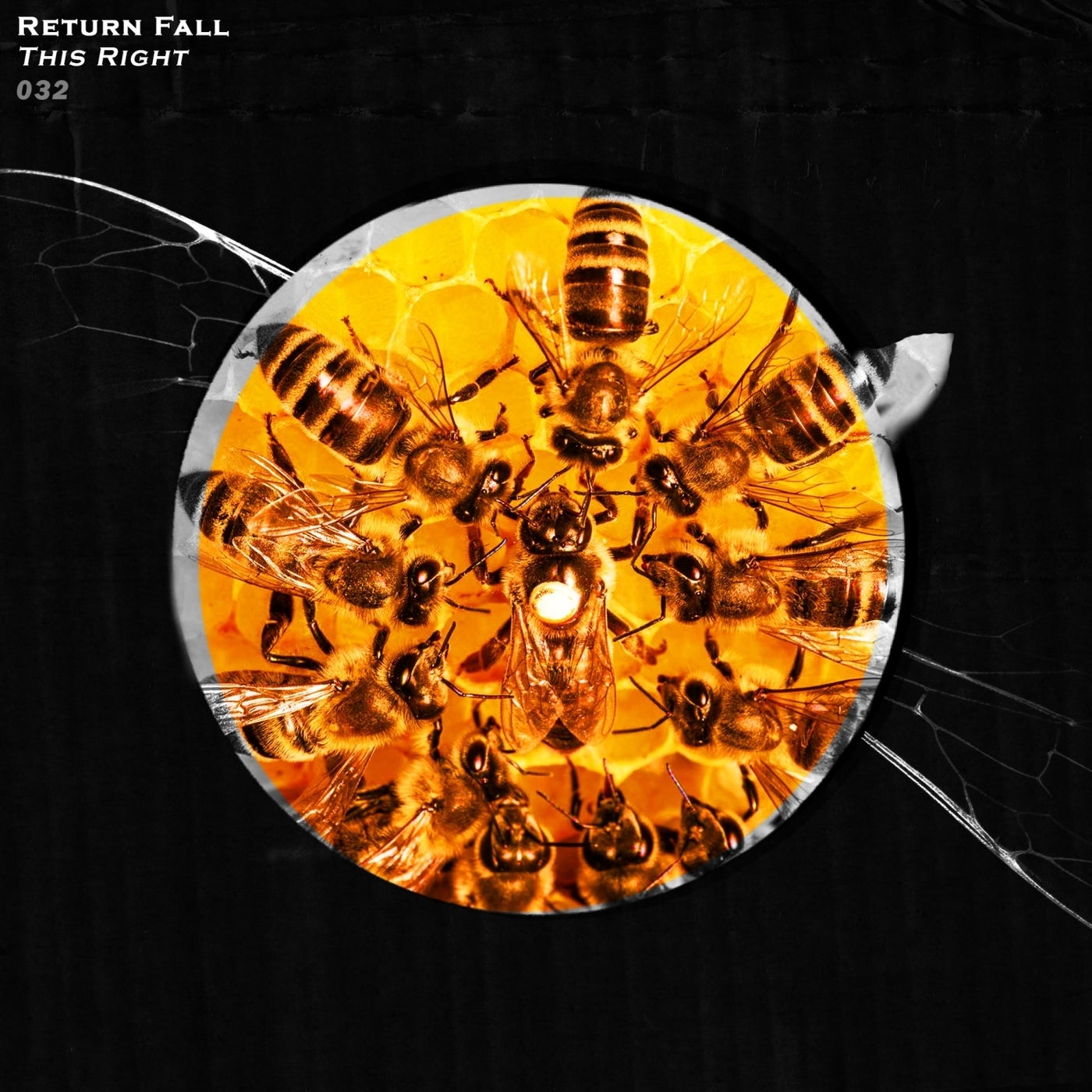 Cover - Return Fall - This Right (Original Mix)