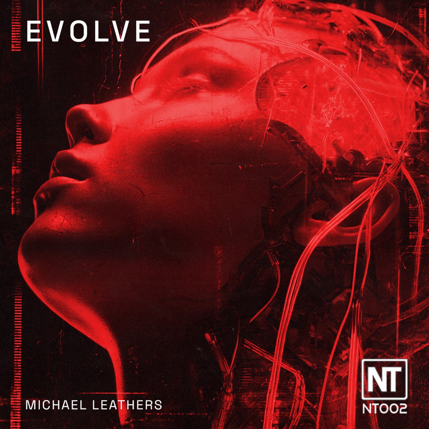 Cover - Michael Leathers - Evolve (Extended Mix)