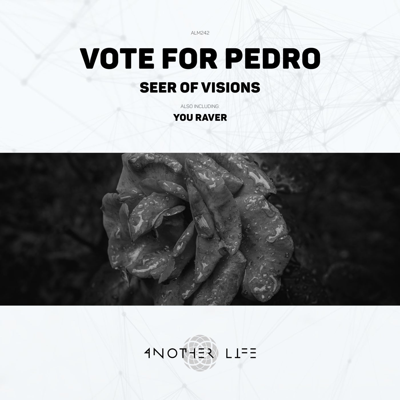 Cover - Vote For Pedro - Seer of Visions (Original Mix)