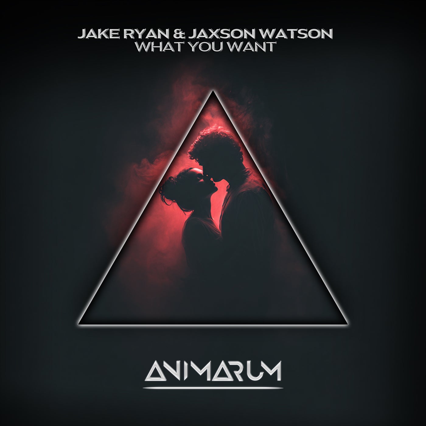 Cover - Jaxson Watson, Jake Ryan - What You Want (Extended Mix)