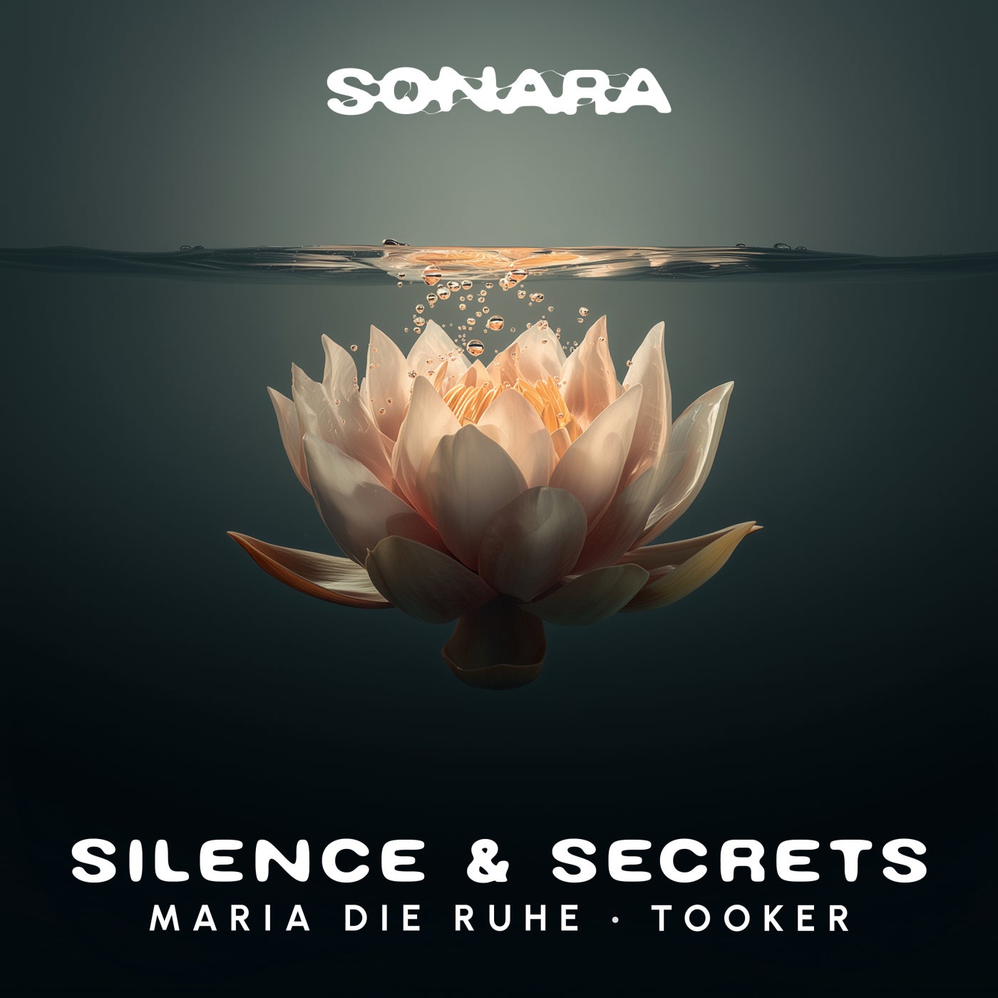Cover - MARIA Die RUHE, Tooker - Silence & Secrets (Acapella)