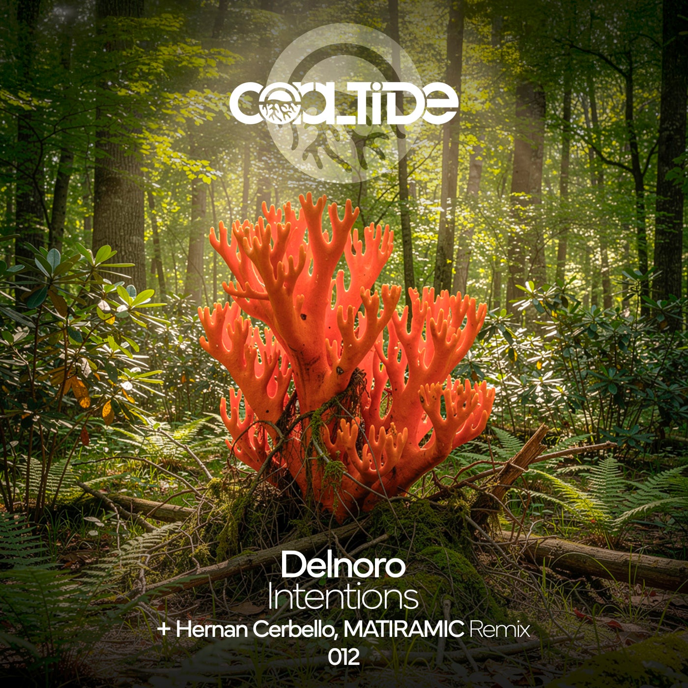 Cover - Delnoro - Intentions (Hernan Cerbello, MATIRAMIC Remix)