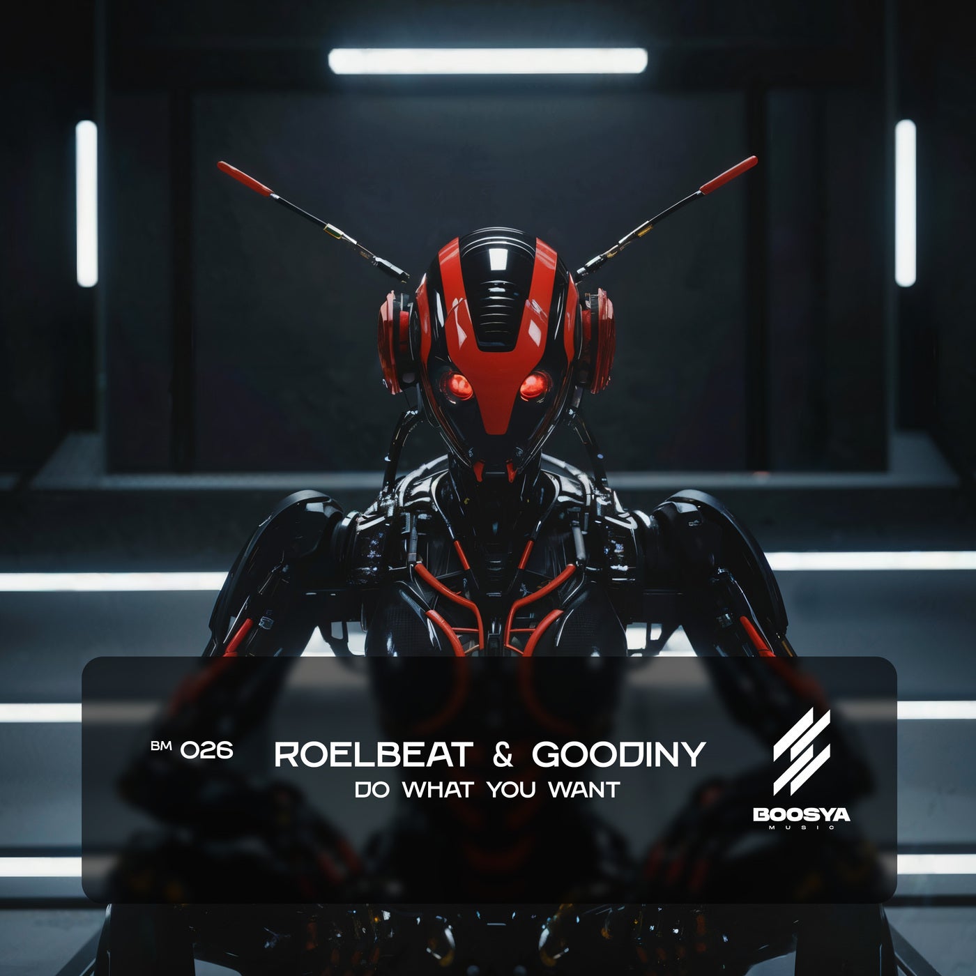 Cover - RoelBeat, Goodiny - Do What you Want (Extended Mix)