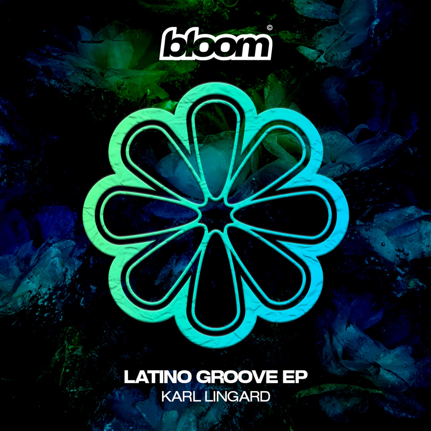 Cover - Karl Lingard - Latino Groove (Original Mix)