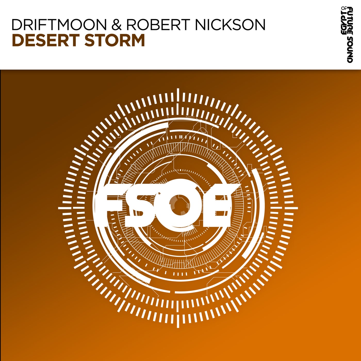 Cover - Robert Nickson, Driftmoon - Desert Storm (Extended Mix)