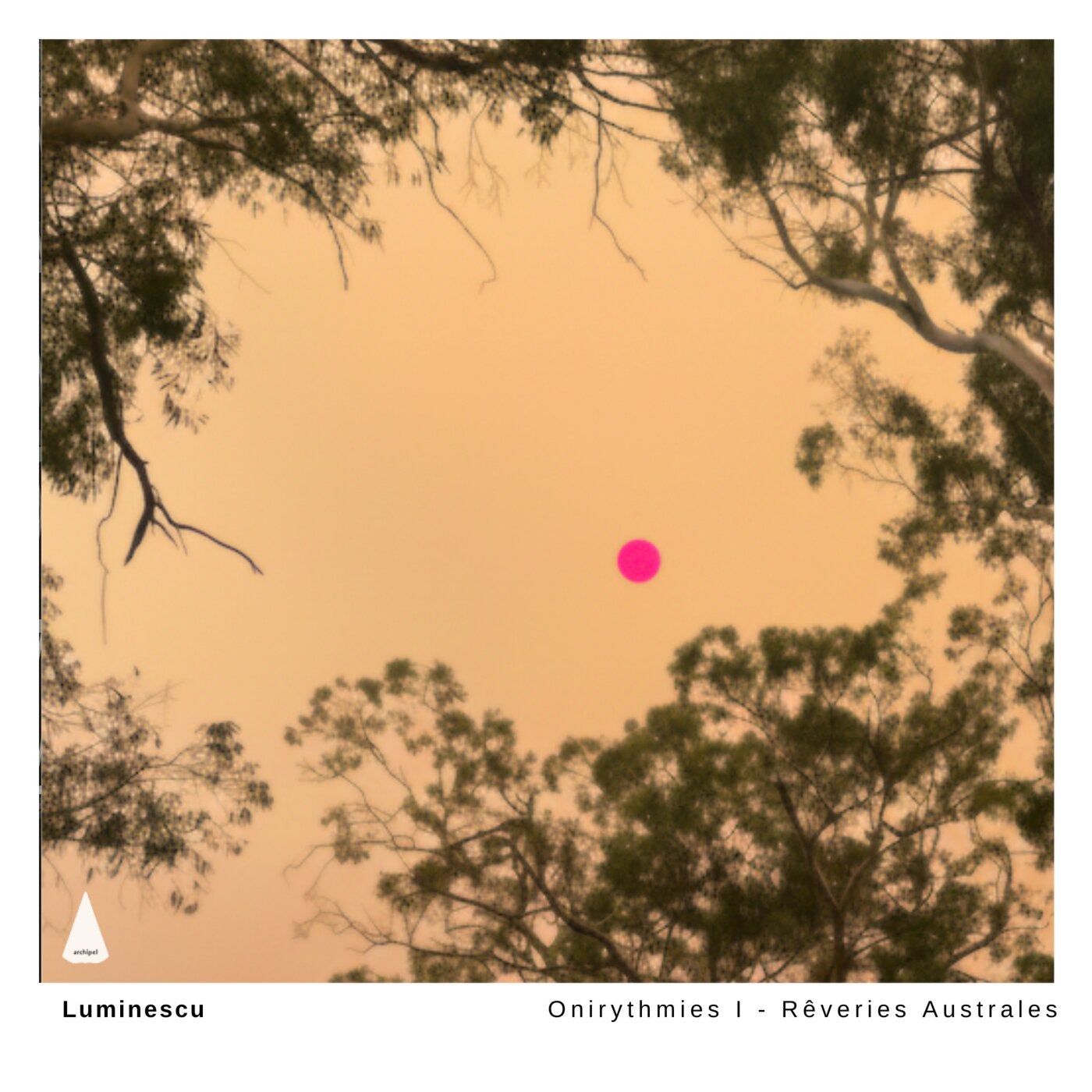 Cover - Luminescu - La Chancelière des Champs de Lierre (Original Mix)