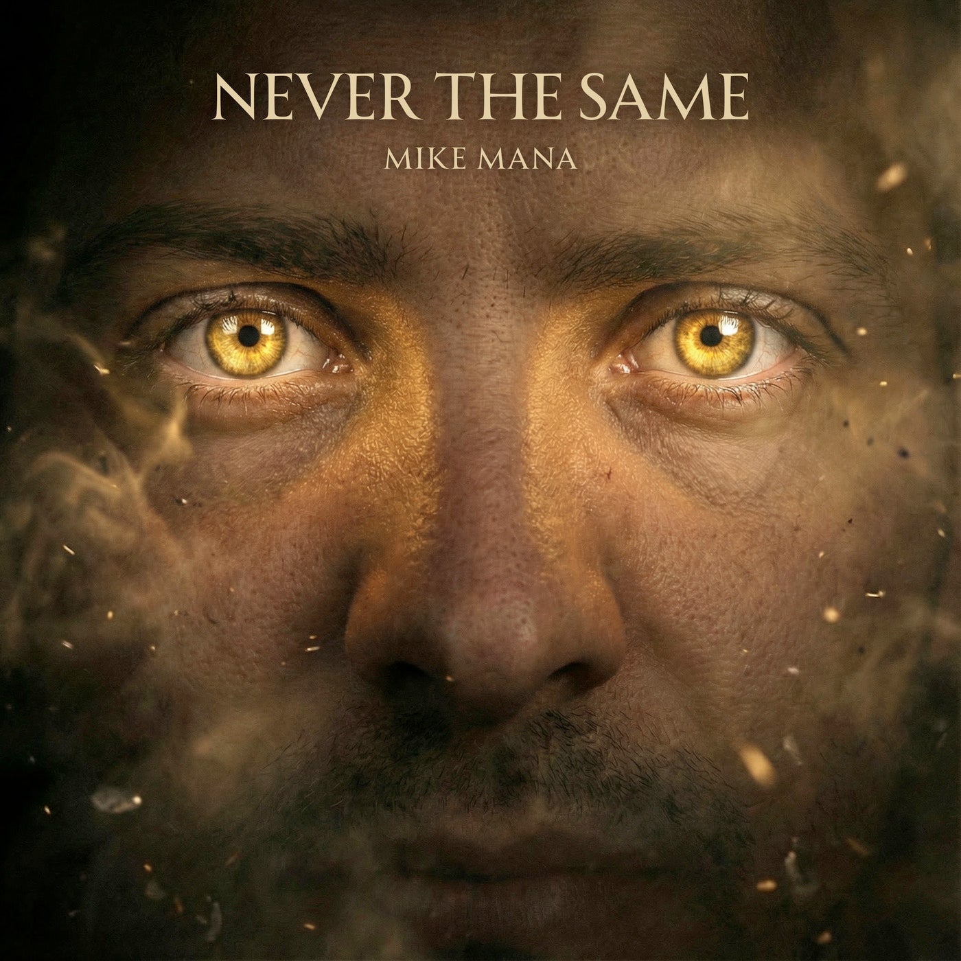 Cover - Mike Mana - Never the Same (Extended)