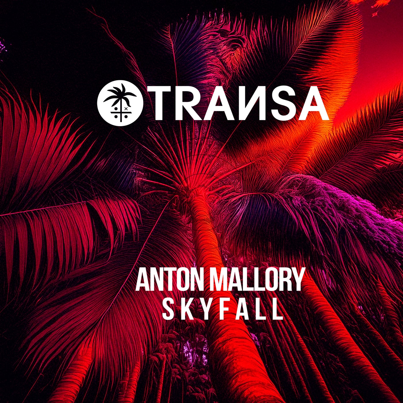 Cover - Anton Mallory - Skyfall (Extended Mix)