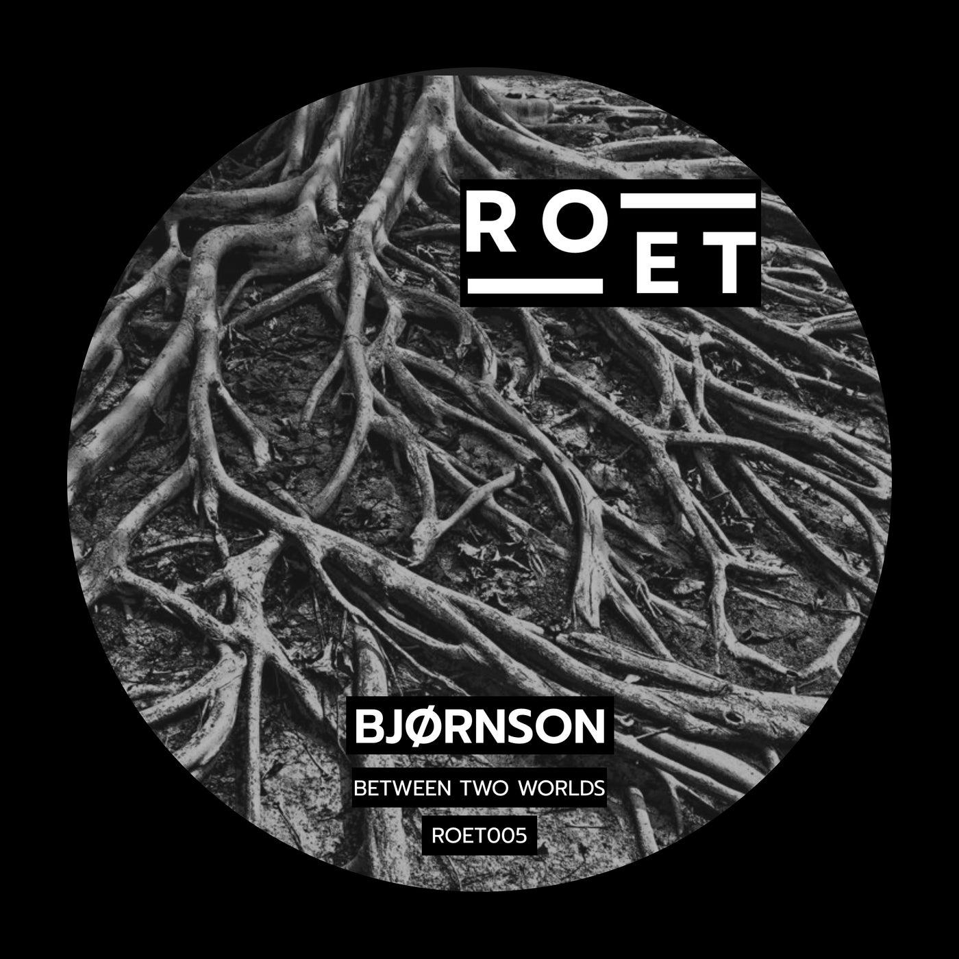 Cover - Bjørnson - Between Two Worlds (Original Mix)