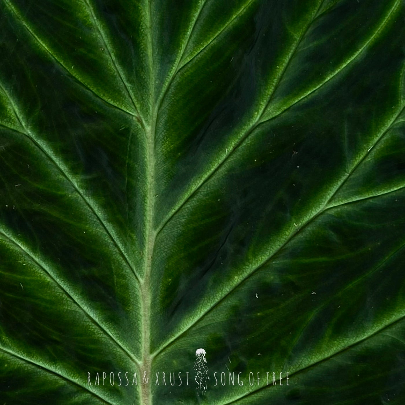 Cover - Rapossa, XRUST - Song of Tree (Extended Mix)