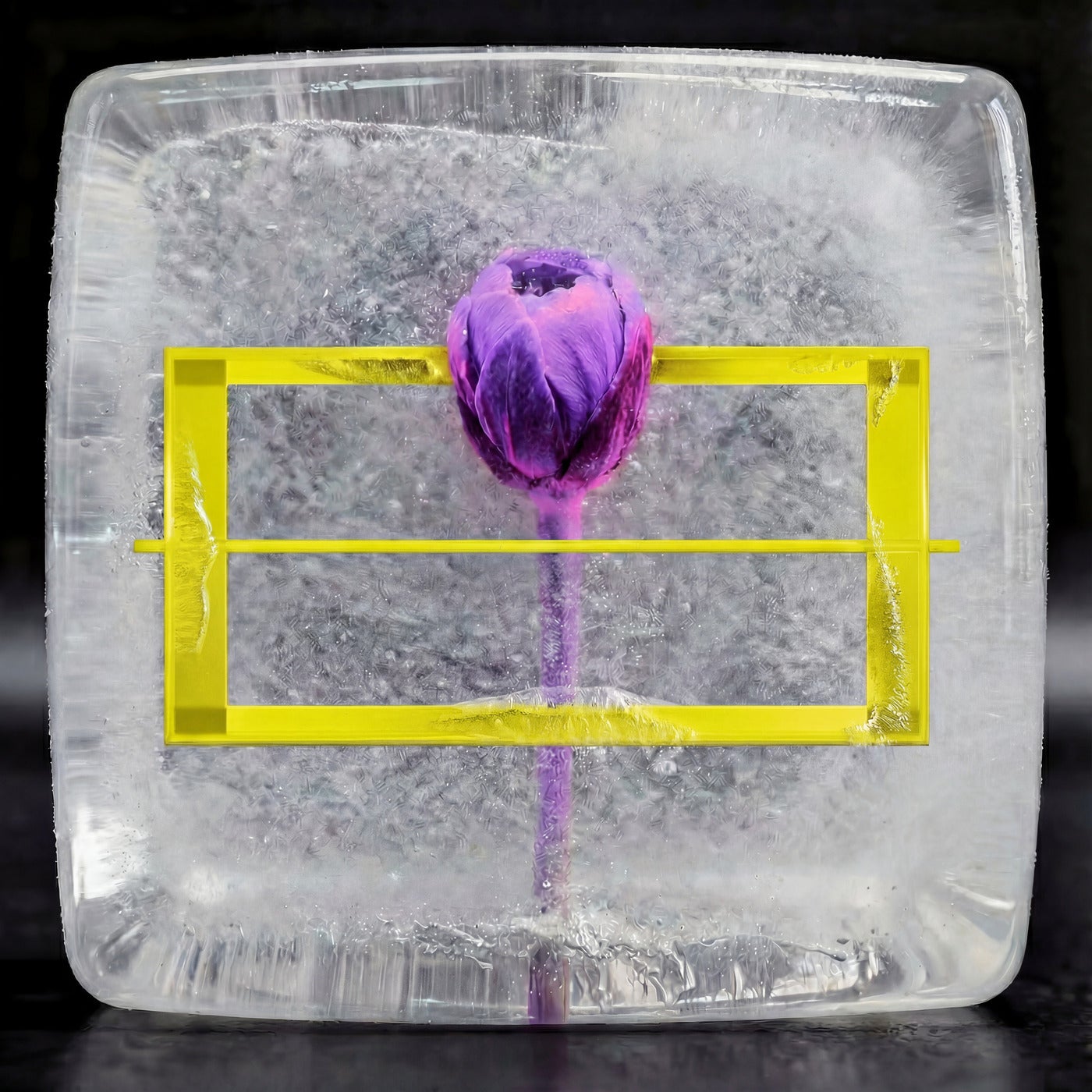 Cover - Arb - Want It Back (Original Mix)