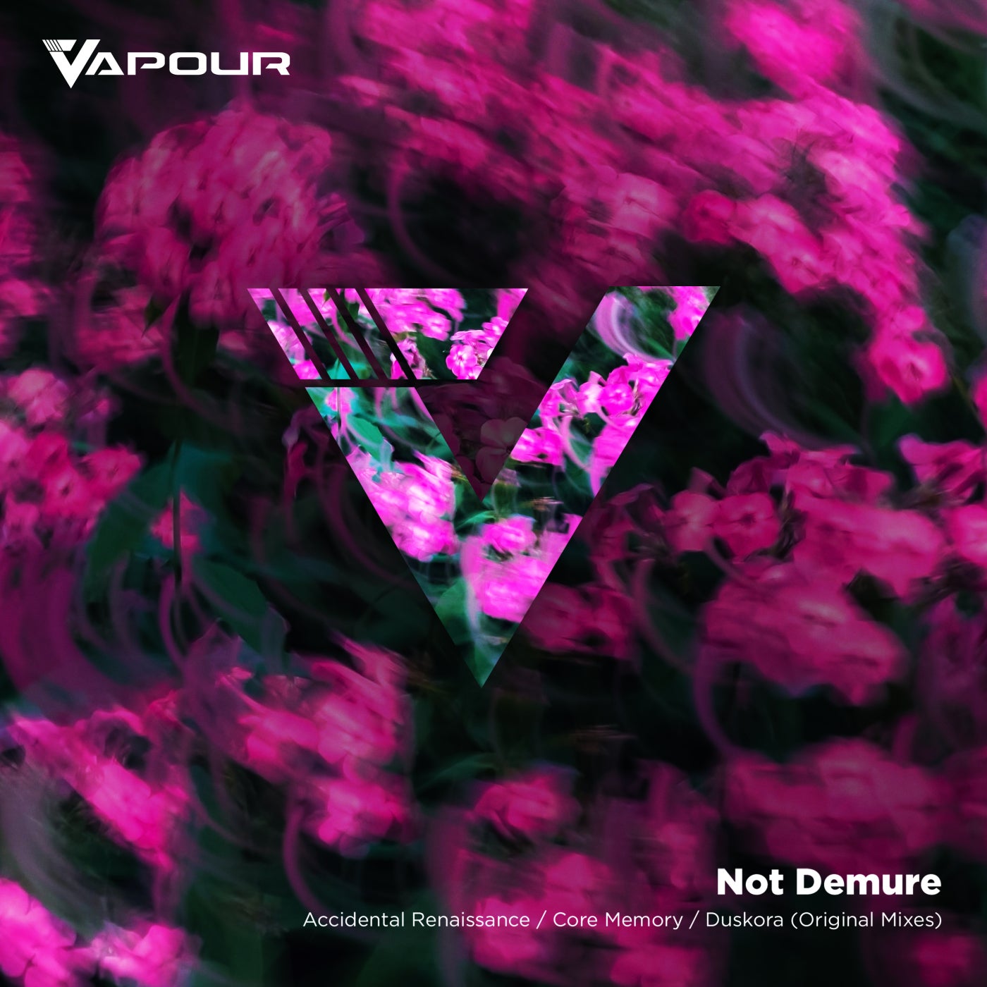 Cover - Not Demure - Core Memory (Original Mix)