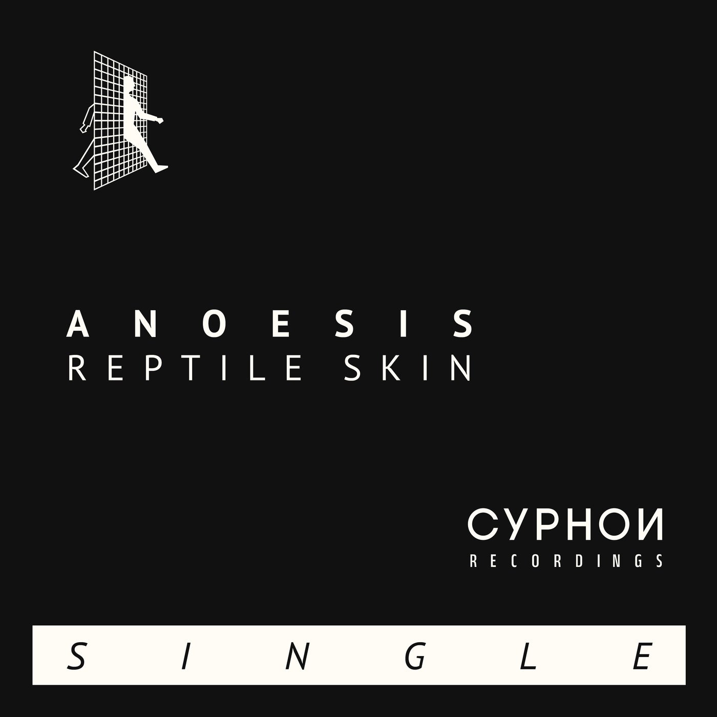 Cover - Anoesis - Reptile Skin (Original Mix)