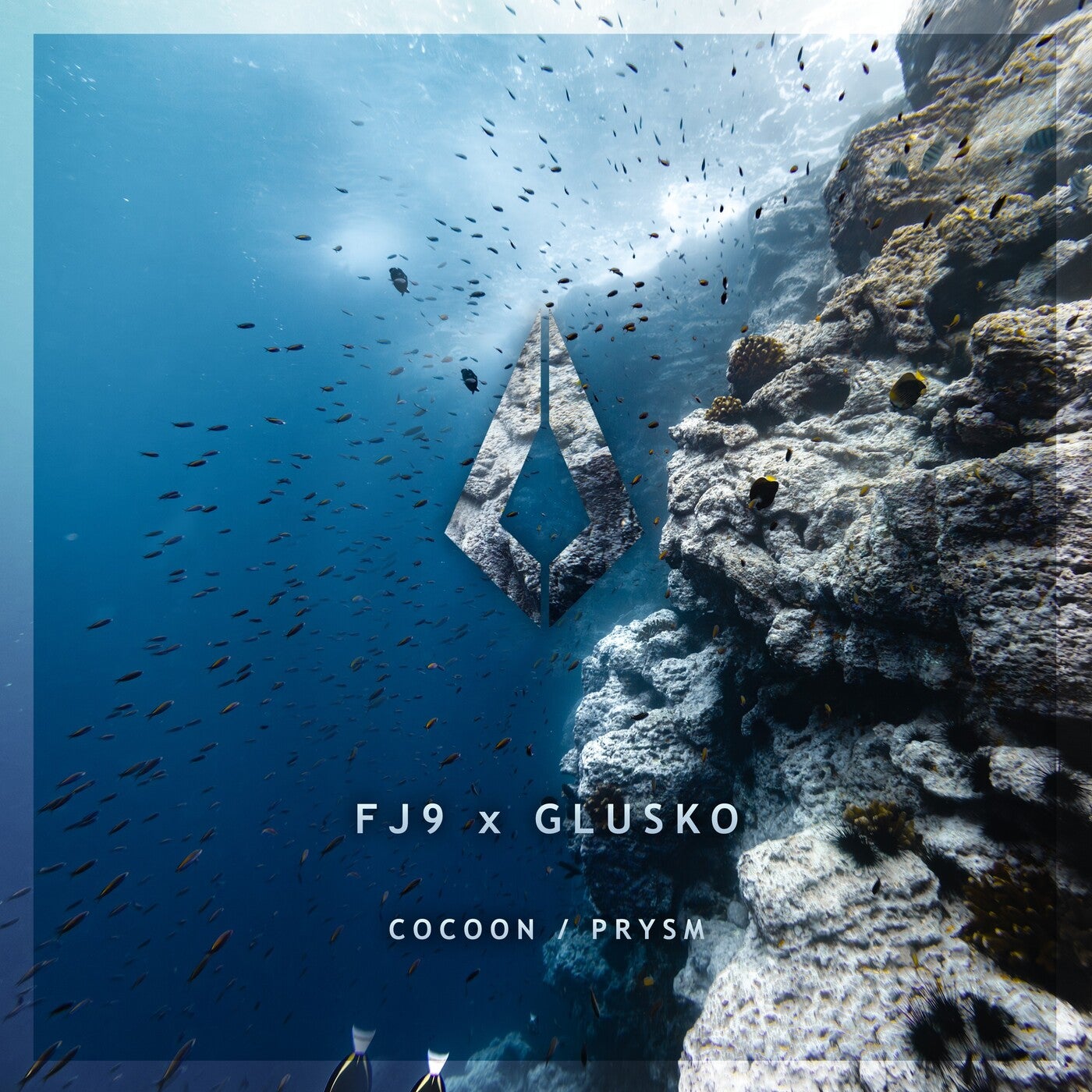 Cover - FJ9 - Cocoon (Extended Mix)