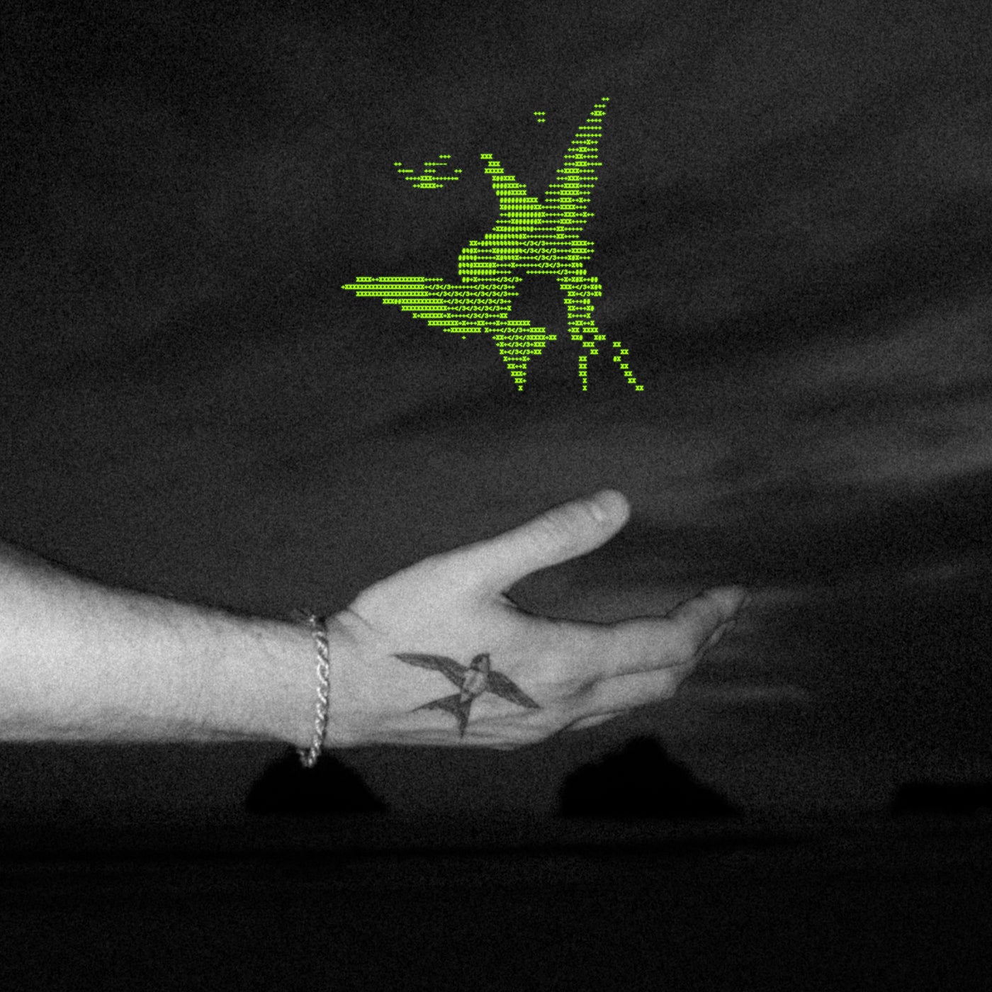 Cover - BSEARL - SIESTA 140 (Original Mix)