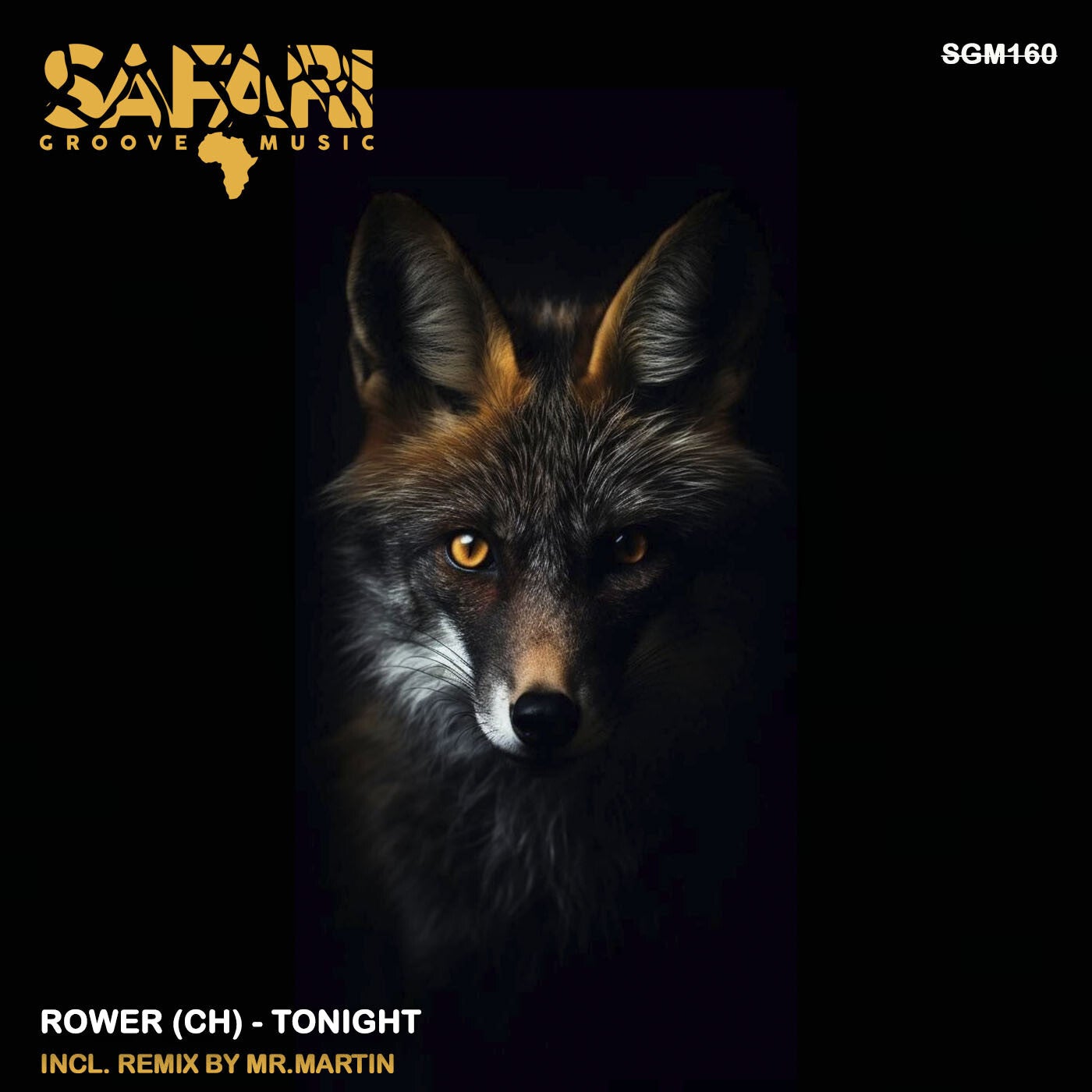 Cover - Rower (CH) - Tonight (Original Mix)
