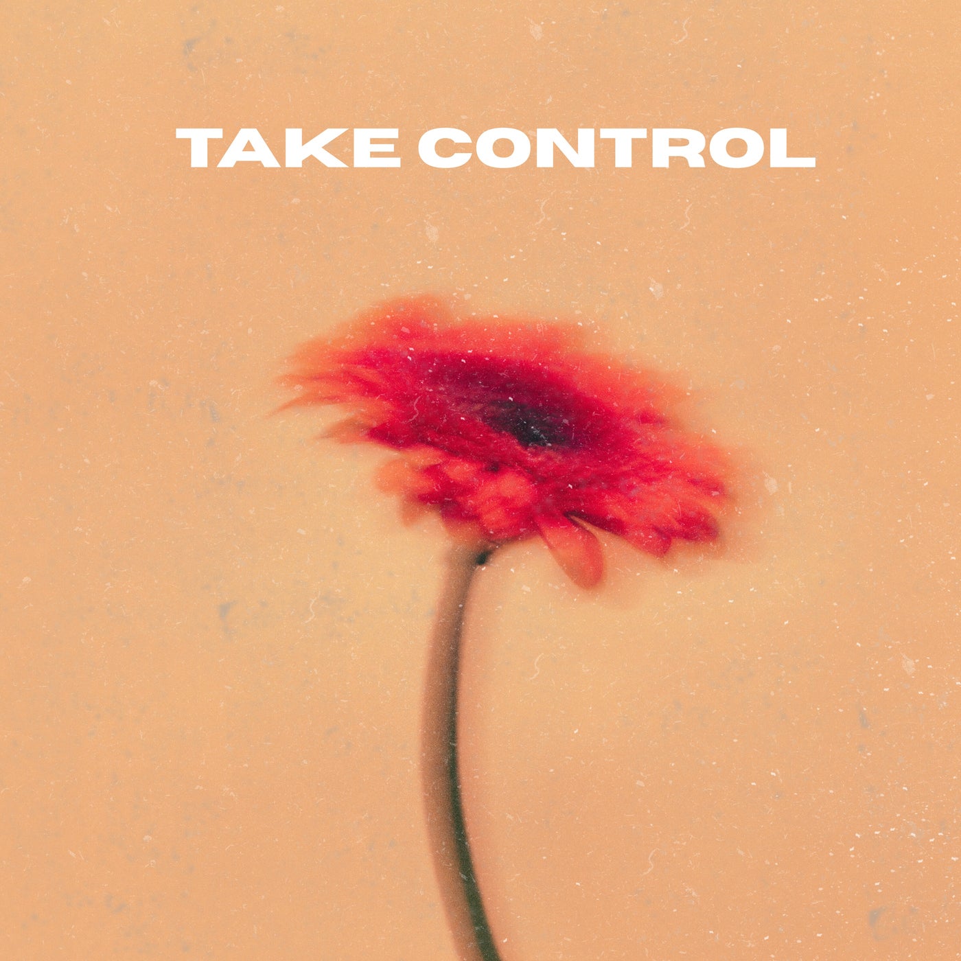 Cover - ERIICE - Take Control (Extended Mix)
