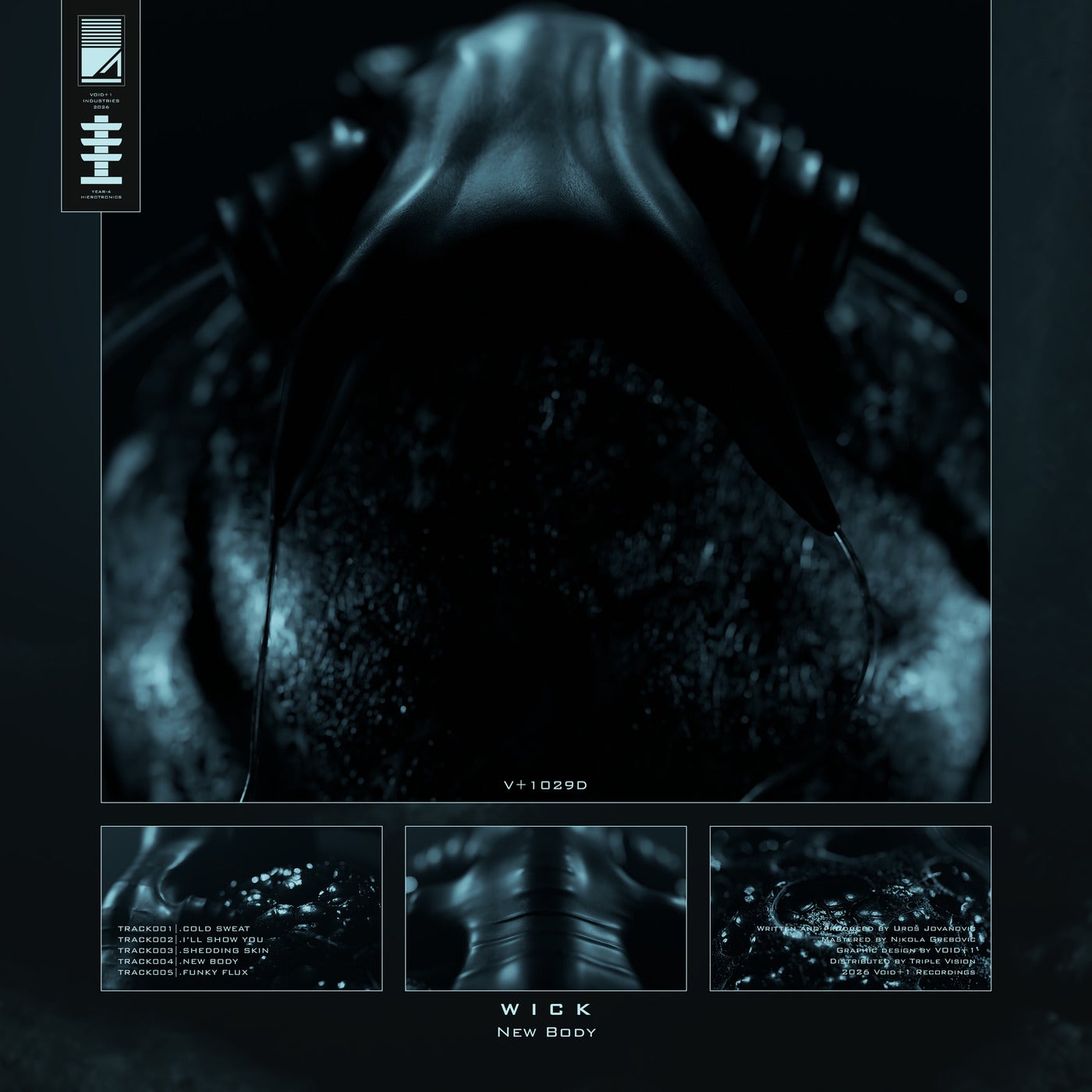 Cover - Wick - Funky Flux (Original Mix)