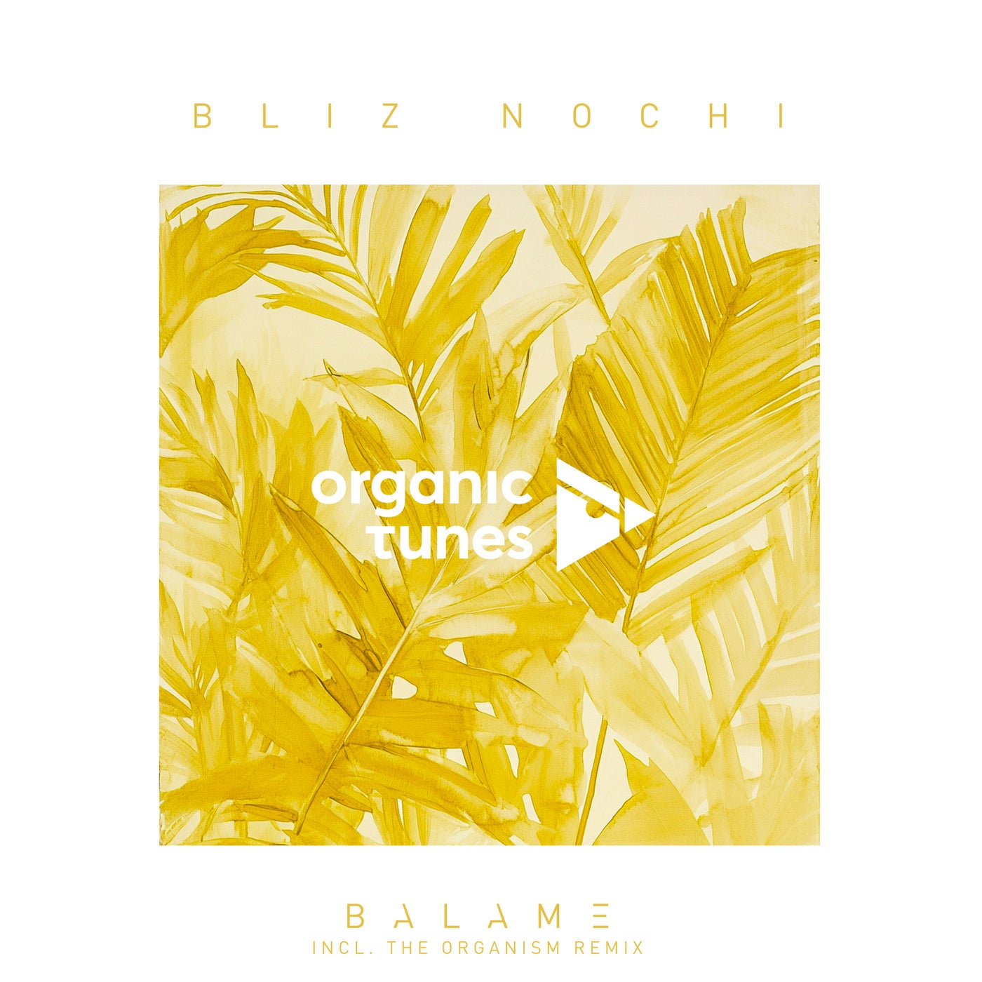 Cover - Bliz Nochi - Balame (The Organism Extended Remix)