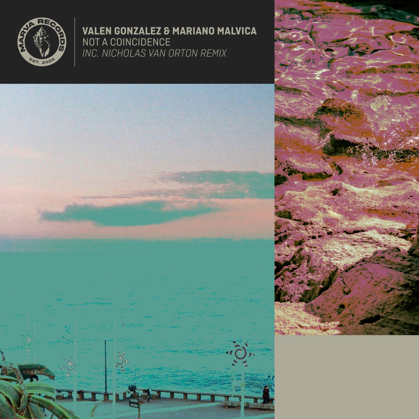 Cover - Valen Gonzalez, Mariano Malvica - Not a Coincidence (Nicholas Van Orton Remix)